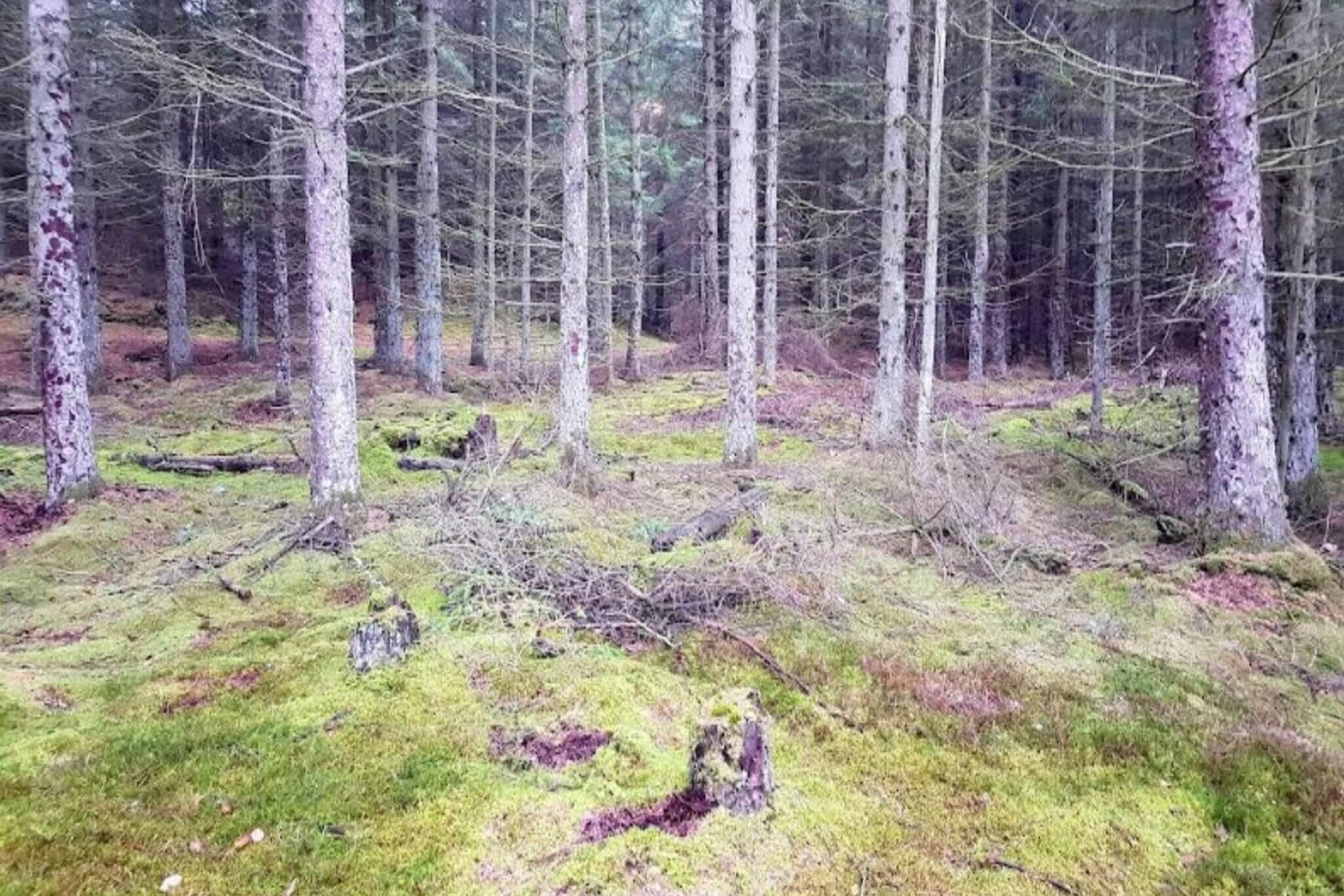 6 persoons vakantie huis in Blokhus - Buitenlucht