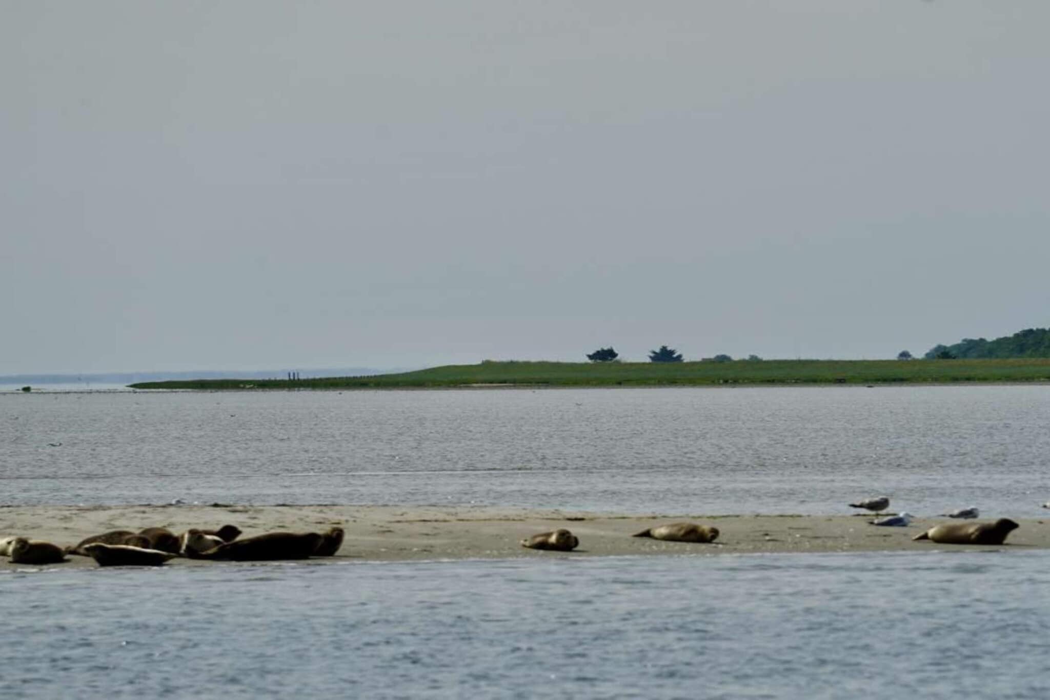 Maison de vacances pour 6 a Hadsund - Vue sur l'eau