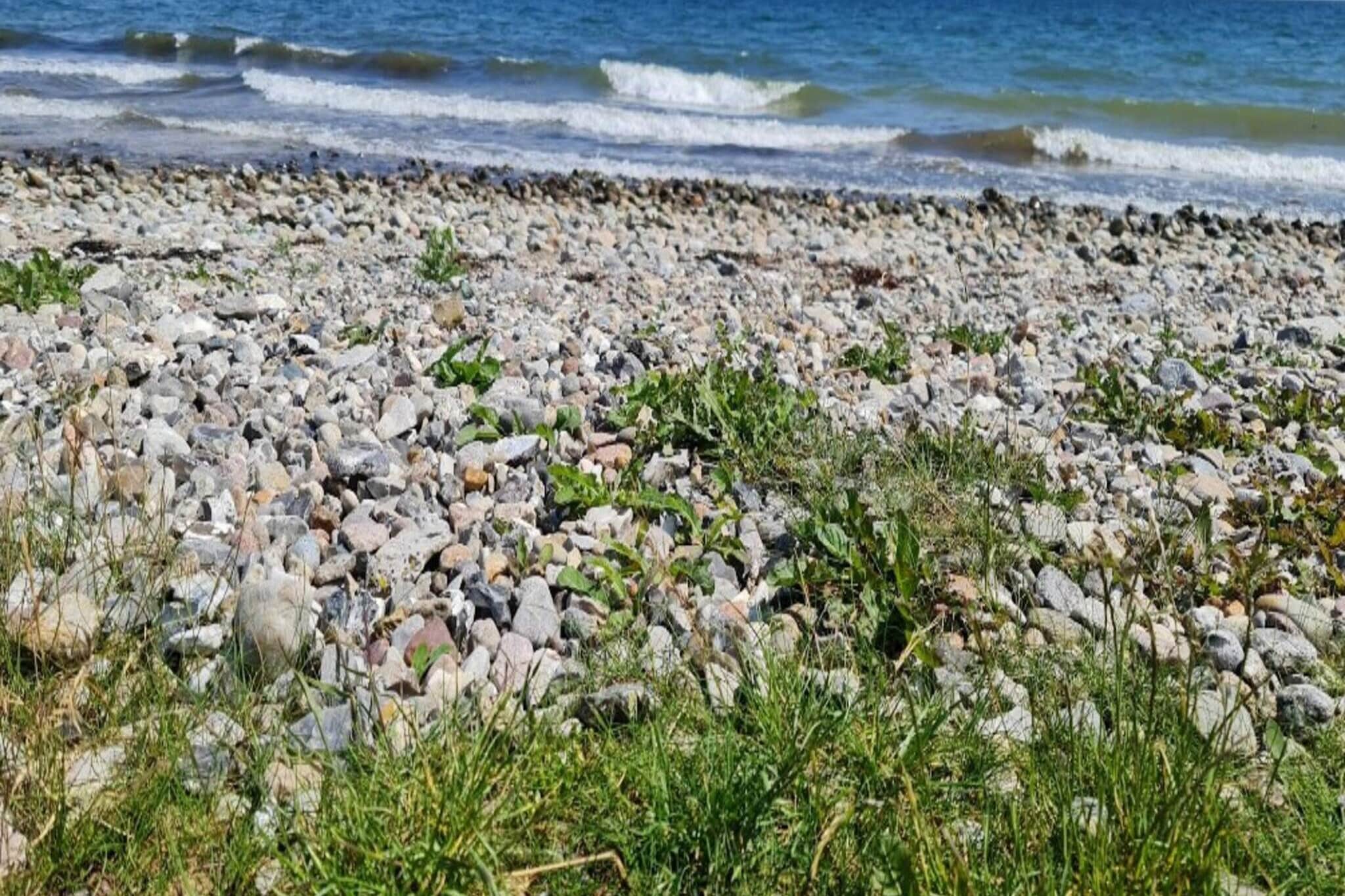 4 persoons vakantie huis in Haderslev-Buitenlucht