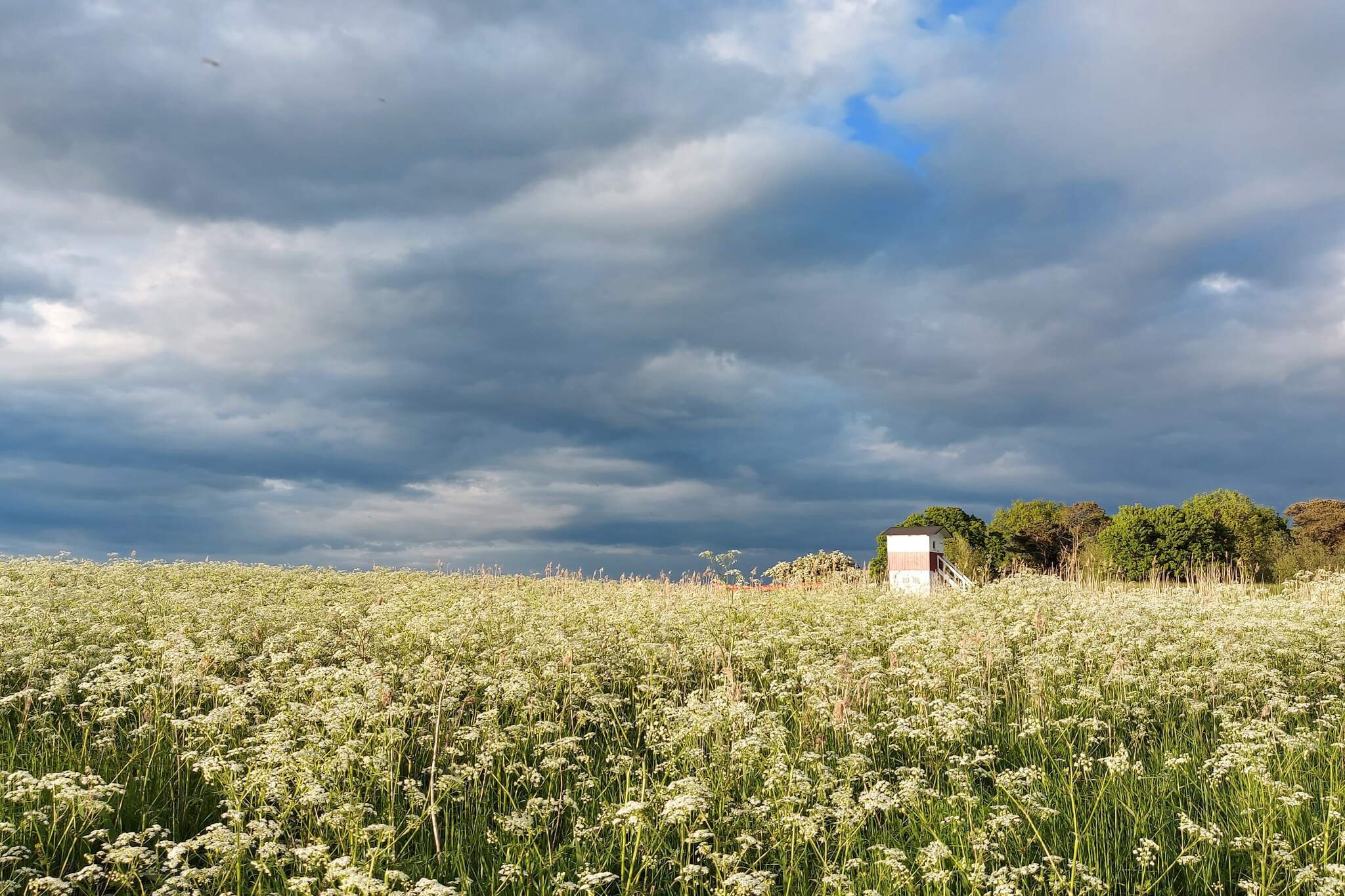 Internet Access DSL, open kitchen(cooker(electric), hood, coffee machine, dishwasher, fridge-freezer), Living/bed room(double folding bed, TV(german television channels, danish TV channels (DR1 and TV2)), high chair), bedroom(double bed), bedroom(double bed), bedroom(double bed), bathroom(floor heating)(tumble dryer, bathtub or shower, washbasin, toilet, washing machine), terrace, BBQ