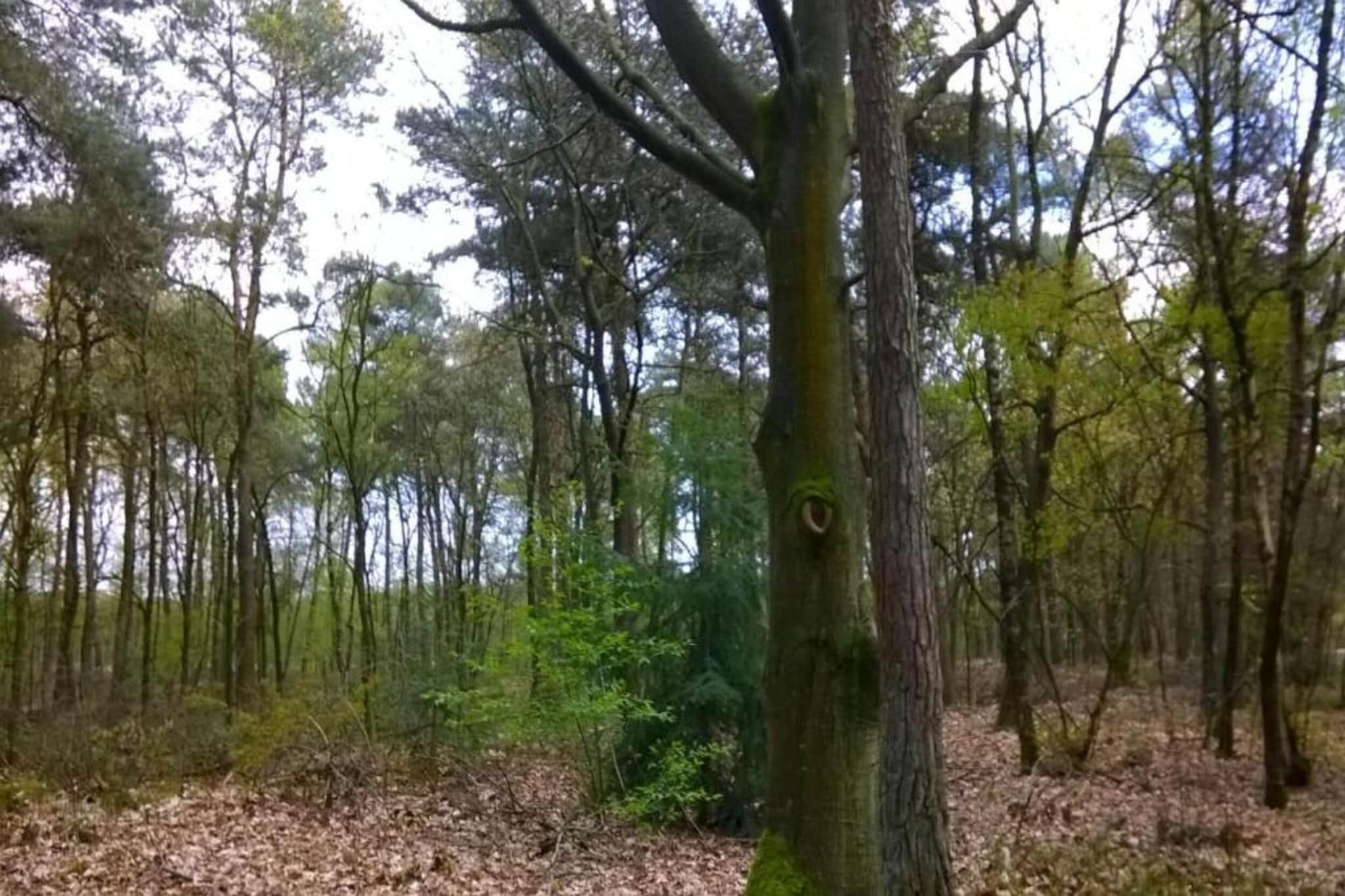 Parc de Kievit 12-Gebieden zomer 20km
