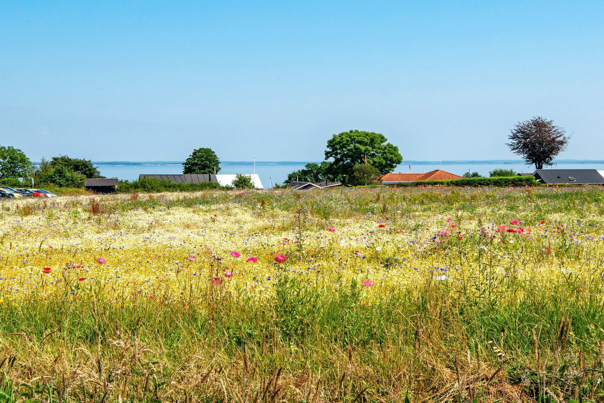 Internet Access DSL, Living room(double folding bed), open kitchen(cooker(electric), hood, coffee machine, microwave, dishwasher, fridge, freezer(60-99L)), Living/bed room(TV(cable, german television channels, danish TV channels (DR1 and TV2)), radio, high chair, chromecast), bedroom(double bed, cot), bedroom(double bed), bedroom(double bed), bedroom(double bed), bedroom(double bed), bathroom(floor heating)(tumble dryer, bathtub or shower, washbasin, toilet, washing machine), bathroom(floor heating)(bathtub or shower, washbasin, toilet), Bubble bath(outside, 6 persons), sauna(indoor, heated, 4 persons), heating(electric), terrace, terrace(roofed), garden, BBQ, play equipment, table tennis table, darts, football goal, billiards, air to water heatpump