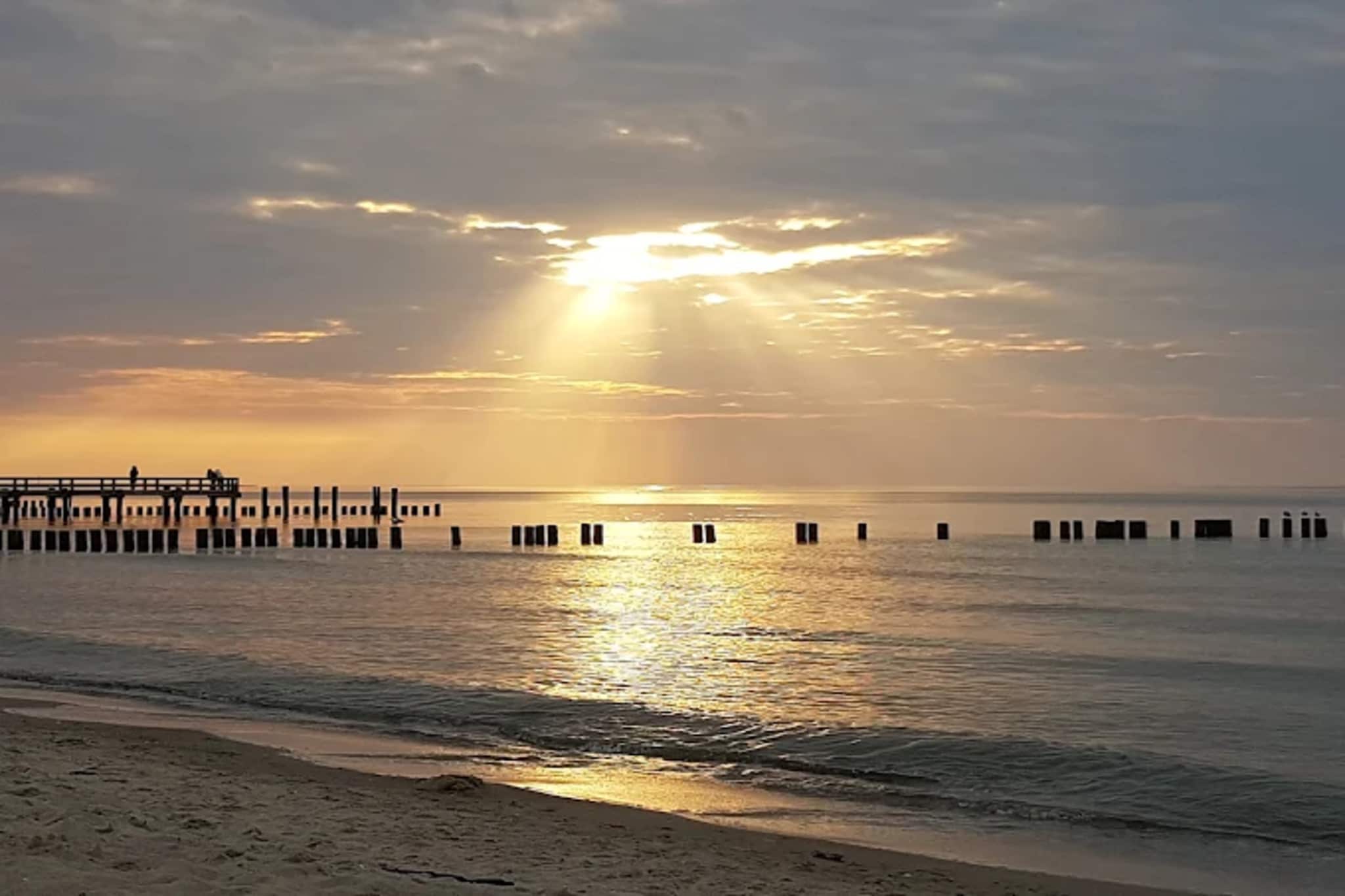 Ferienwohnung Zingst-Buhnen 24-Gebieden zomer 5km