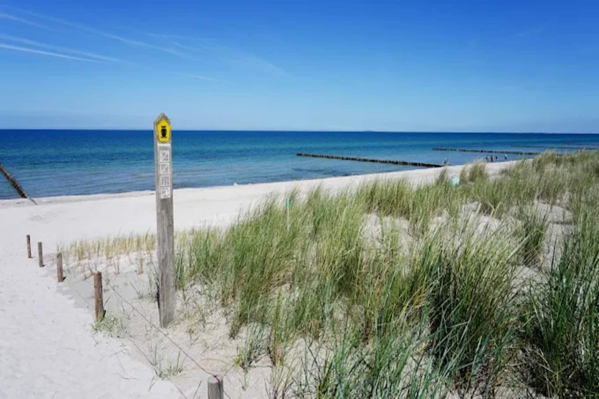 Ferienwohnung Zingst-Buhnen 24-Gebieden zomer 1km
