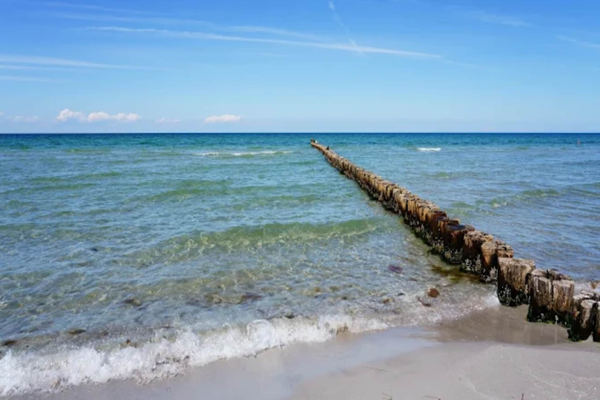 Ferienwohnung Zingst-Buhnen 24-Gebieden zomer 1km