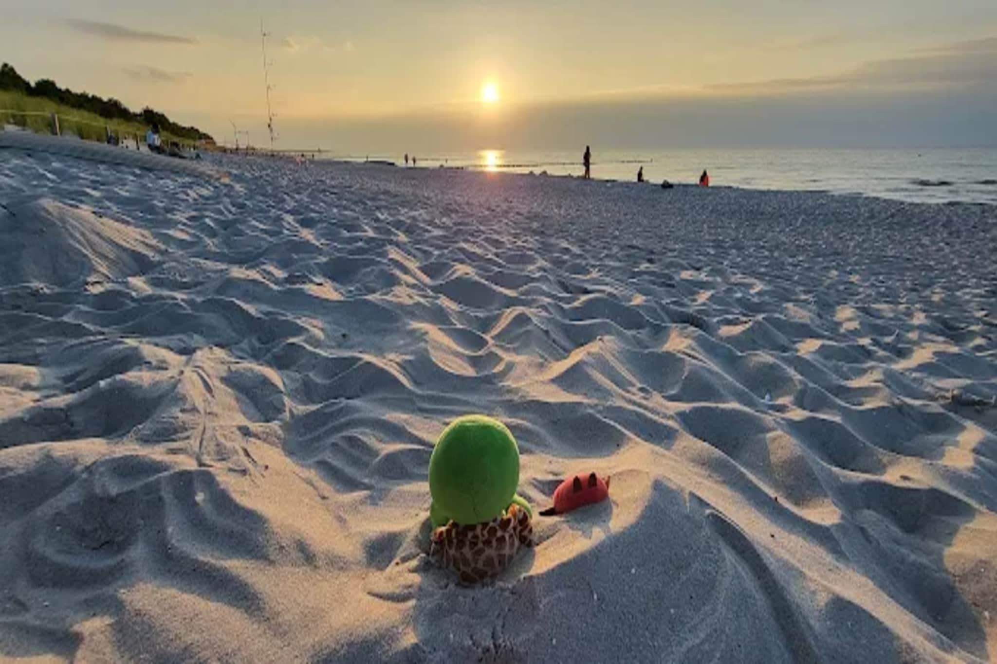 Ferienwohnung Zingst-Buhnen 24-Gebieden zomer 1km