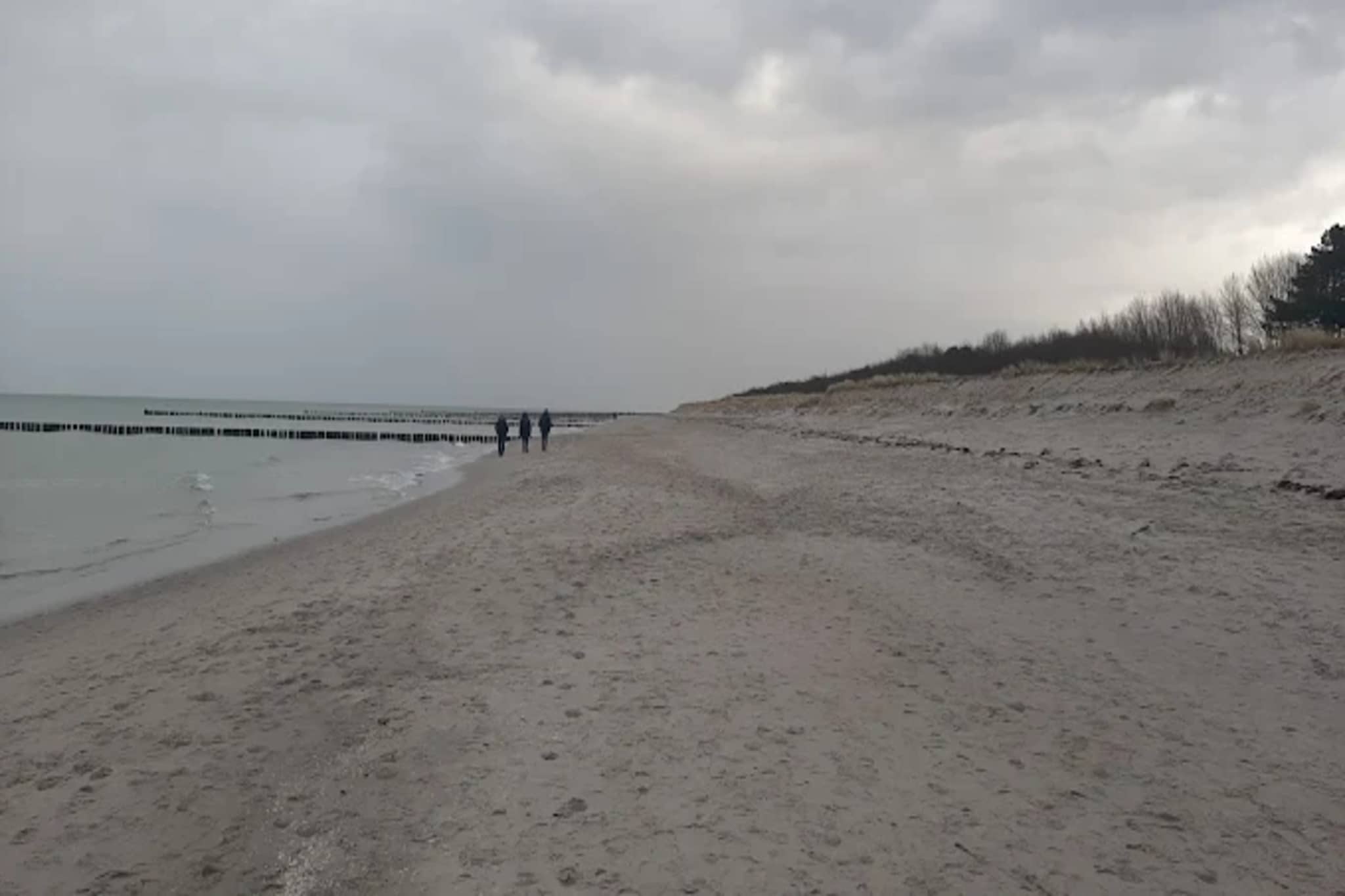 Ferienwohnung Zingst-Buhnen 24-Gebieden zomer 1km