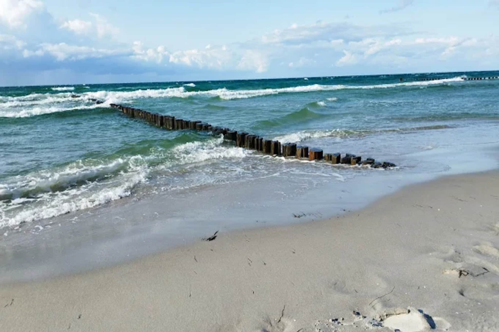 Ferienwohnung Zingst-Buhnen 24-Gebieden zomer 1km