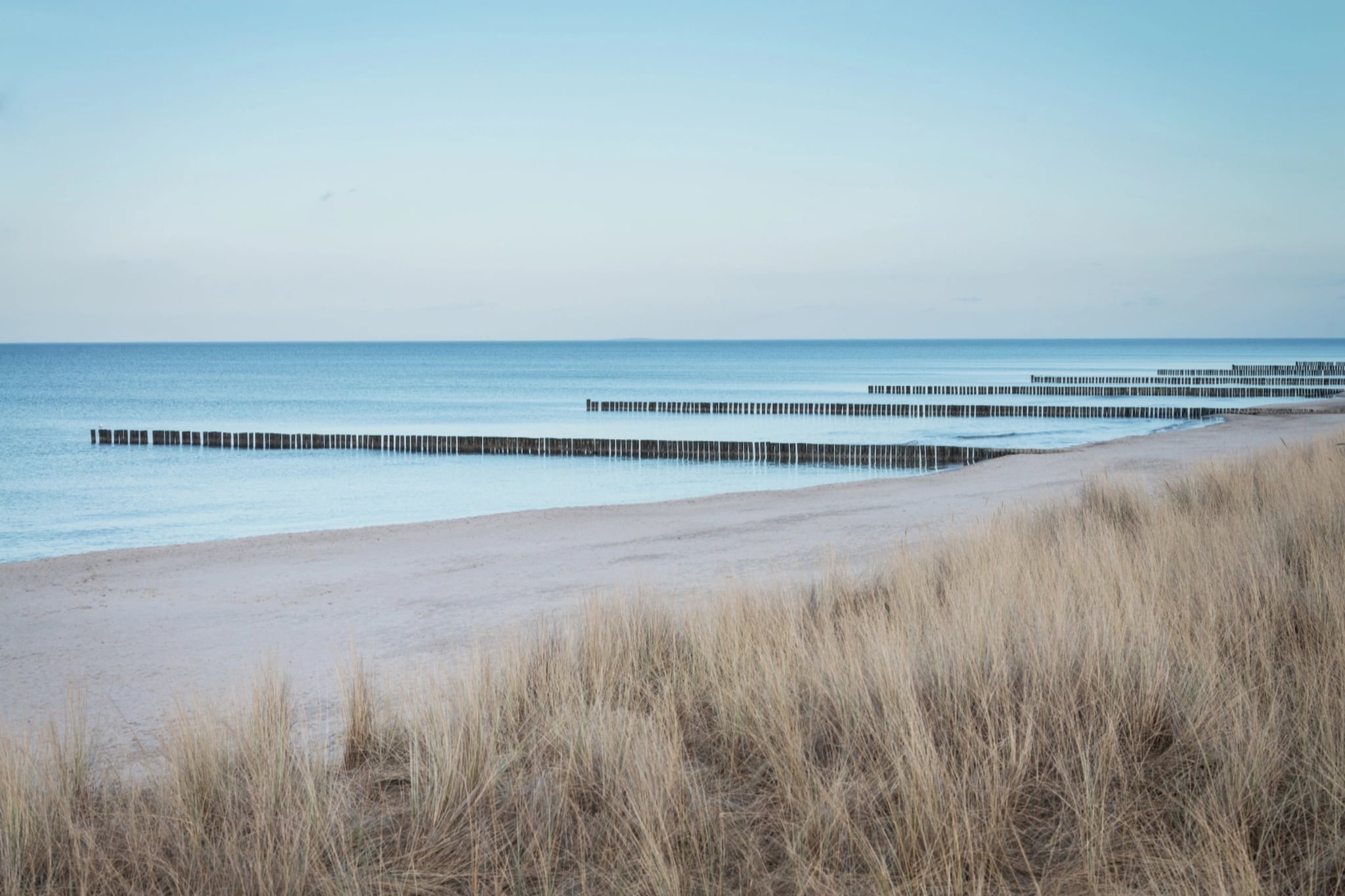 Ferienwohnung Zingst-Buhnen 24-Gebieden zomer 5km