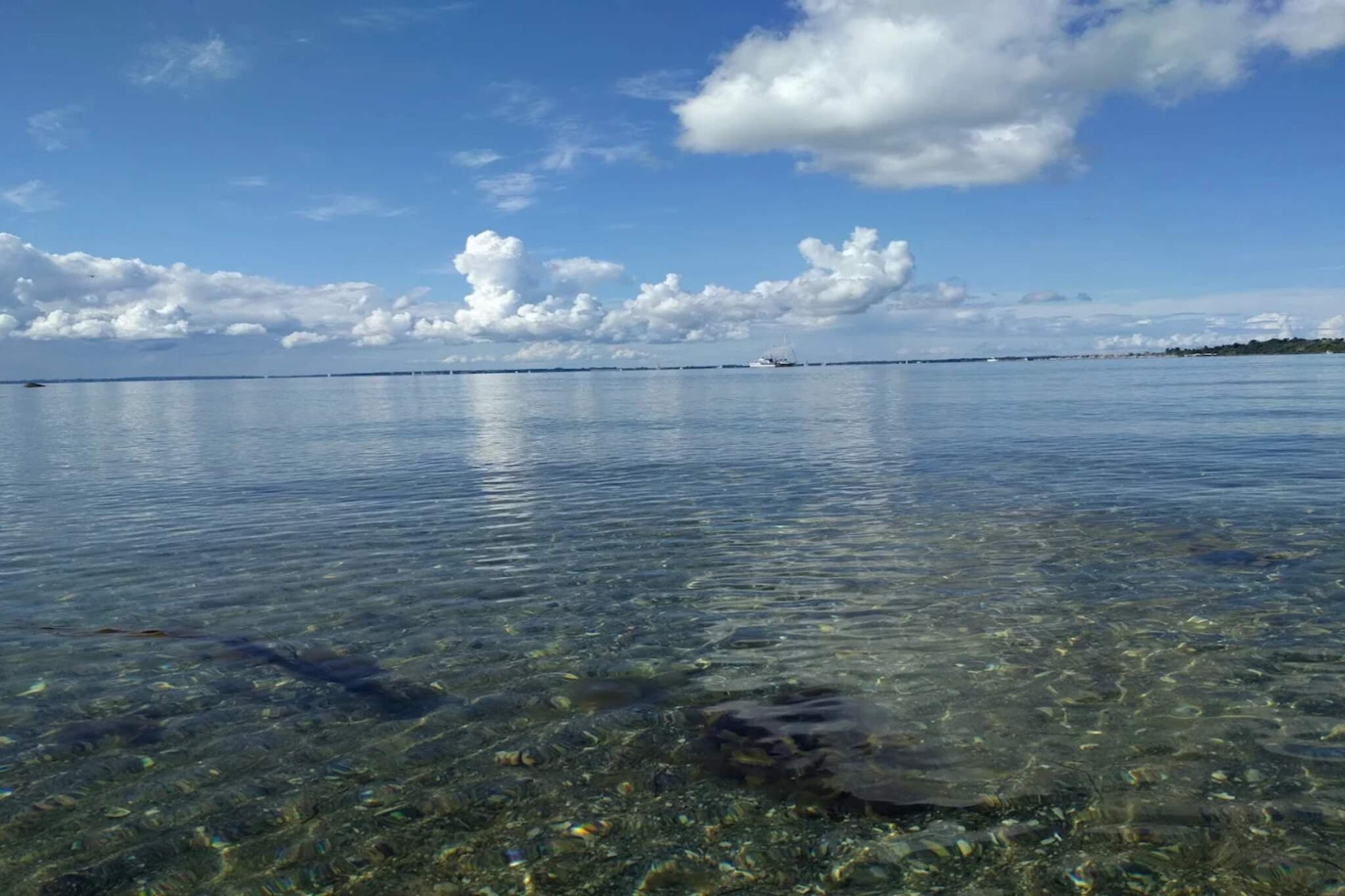 Maison de vacances pour 5 a Jægerspris-By Traum - Vue sur l'eau