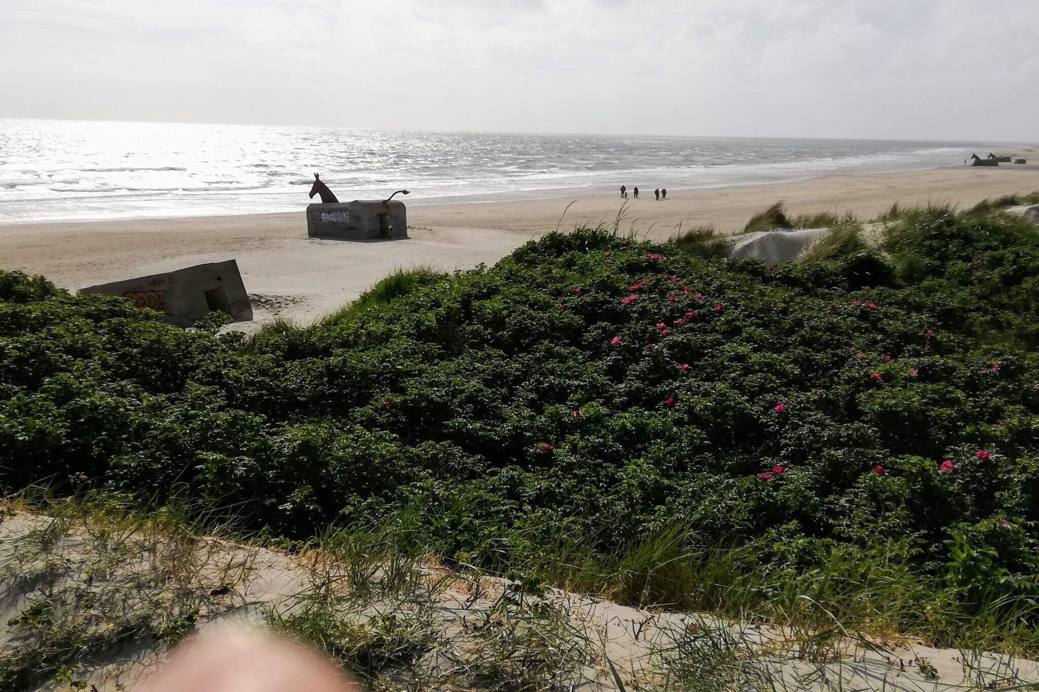 Retraite de luxe a Blavand -- By Traum Ferienwohnungen-Vue sur l'eau