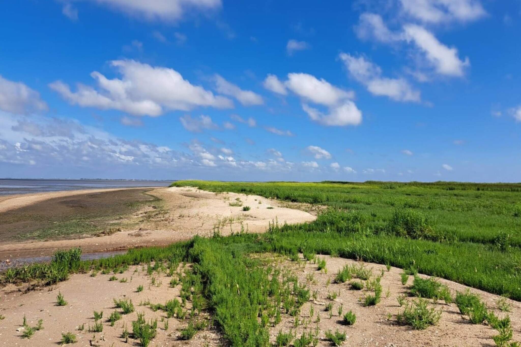 Maison de vacances pour 6 a Rømø-By Traum-Vue sur l'eau