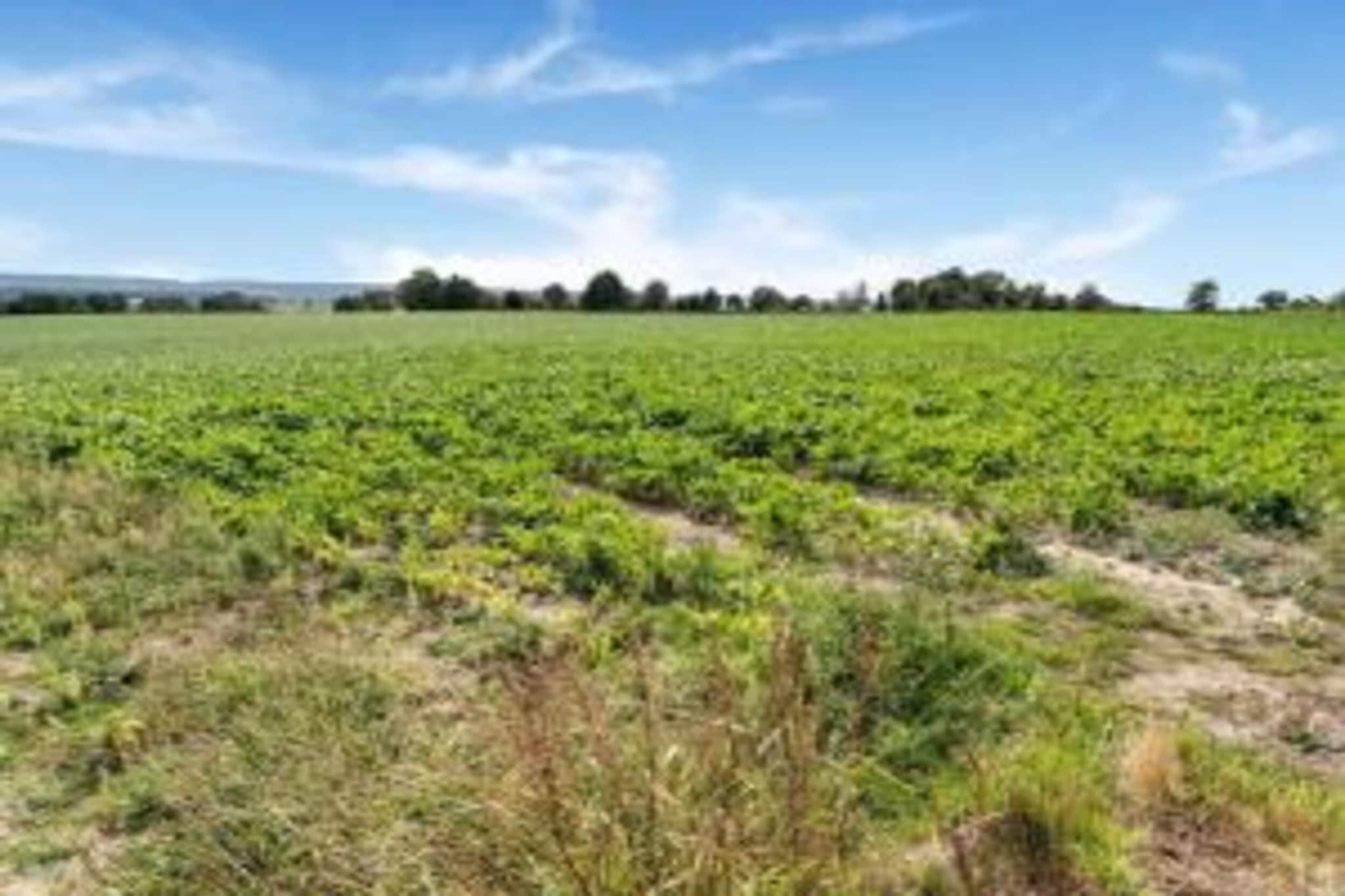 Valleyview Cottages - NR13-Gebieden zomer 20km