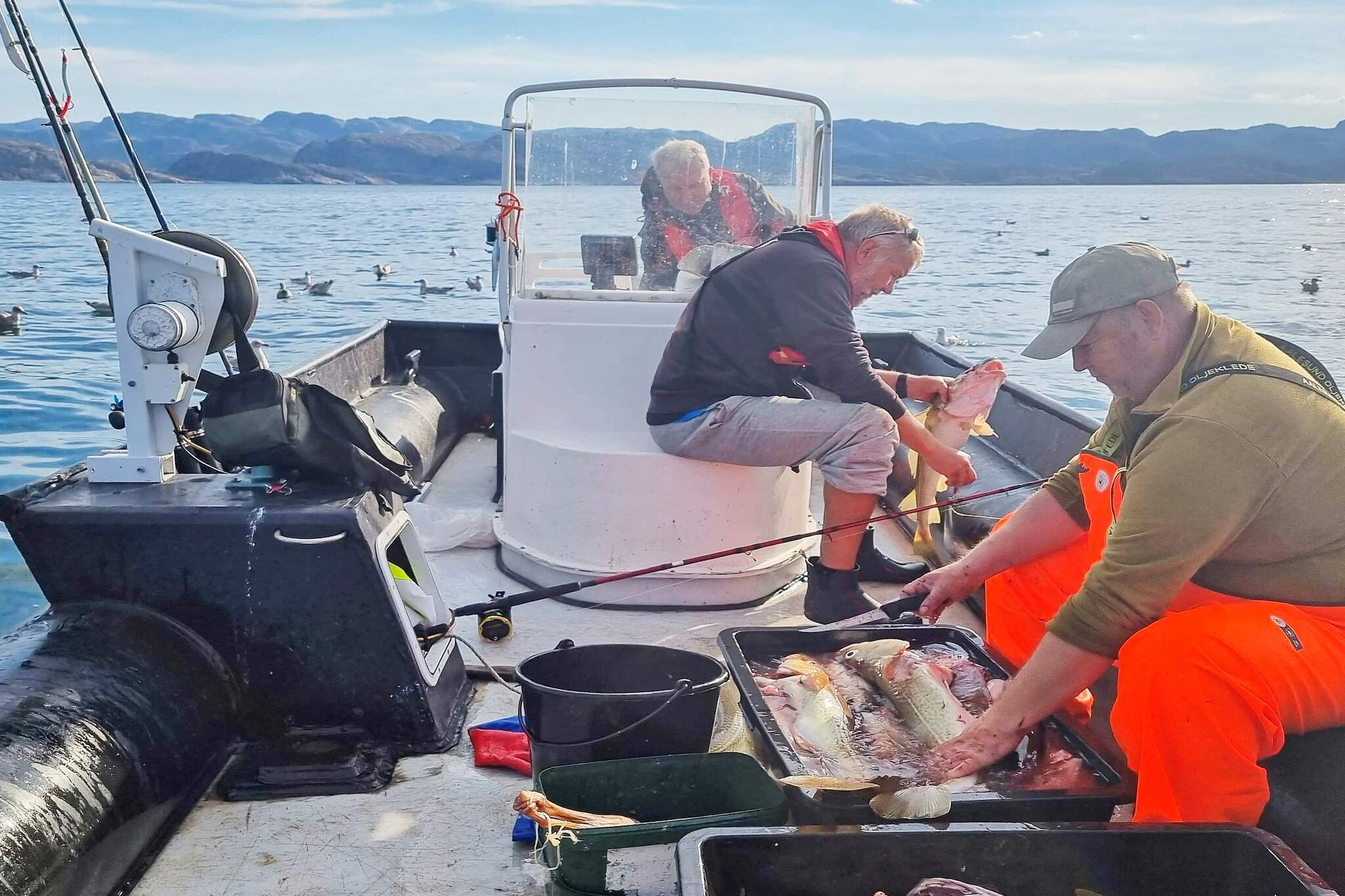Maison de vacances pour 7 a JARFJORD-By Traum - Non tagué