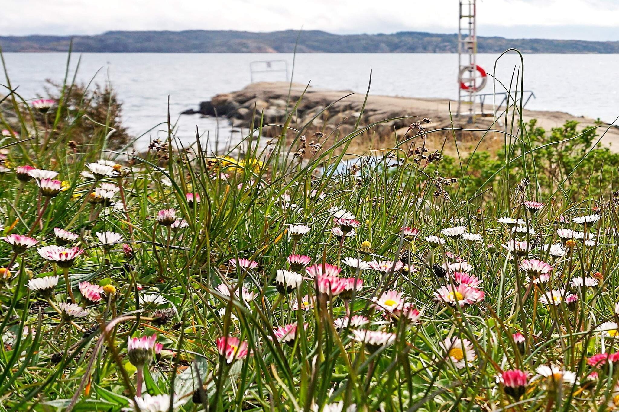 4 person holiday home in LYSEKIL-By Traum - View