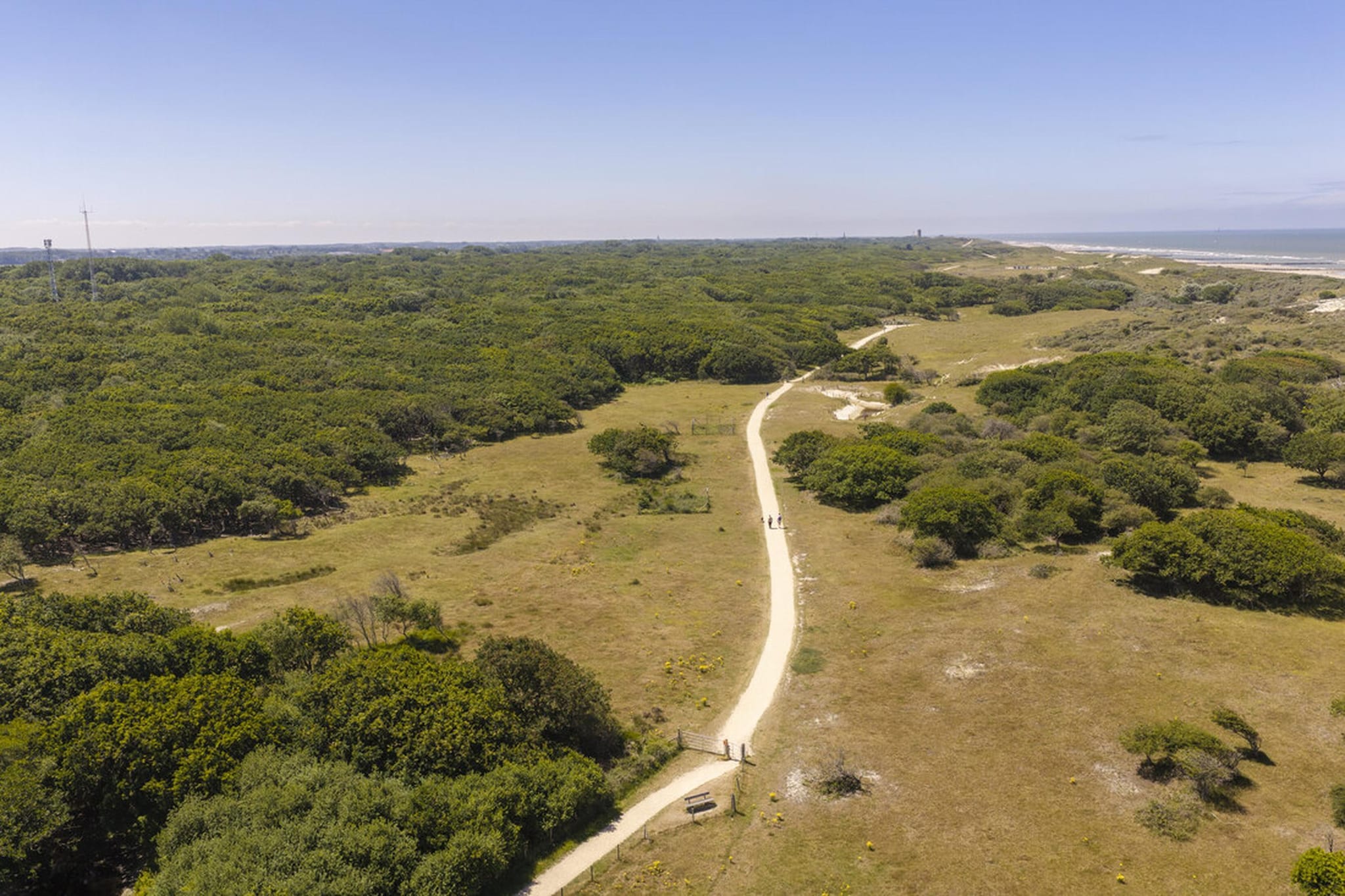 Vakantiepark Bos en Duin 1 - Areas within 5km in summer