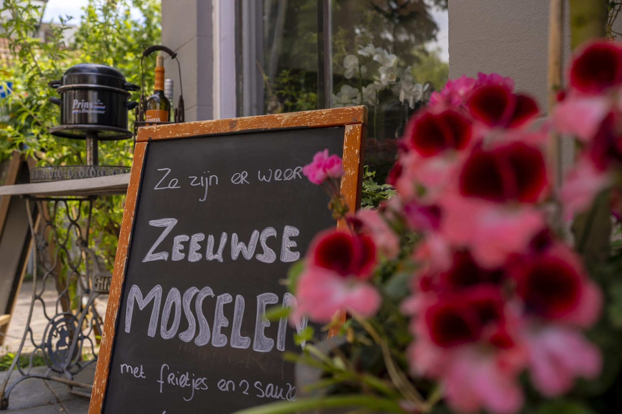 Vakantiepark Bos en Duin 1 - Ambiance