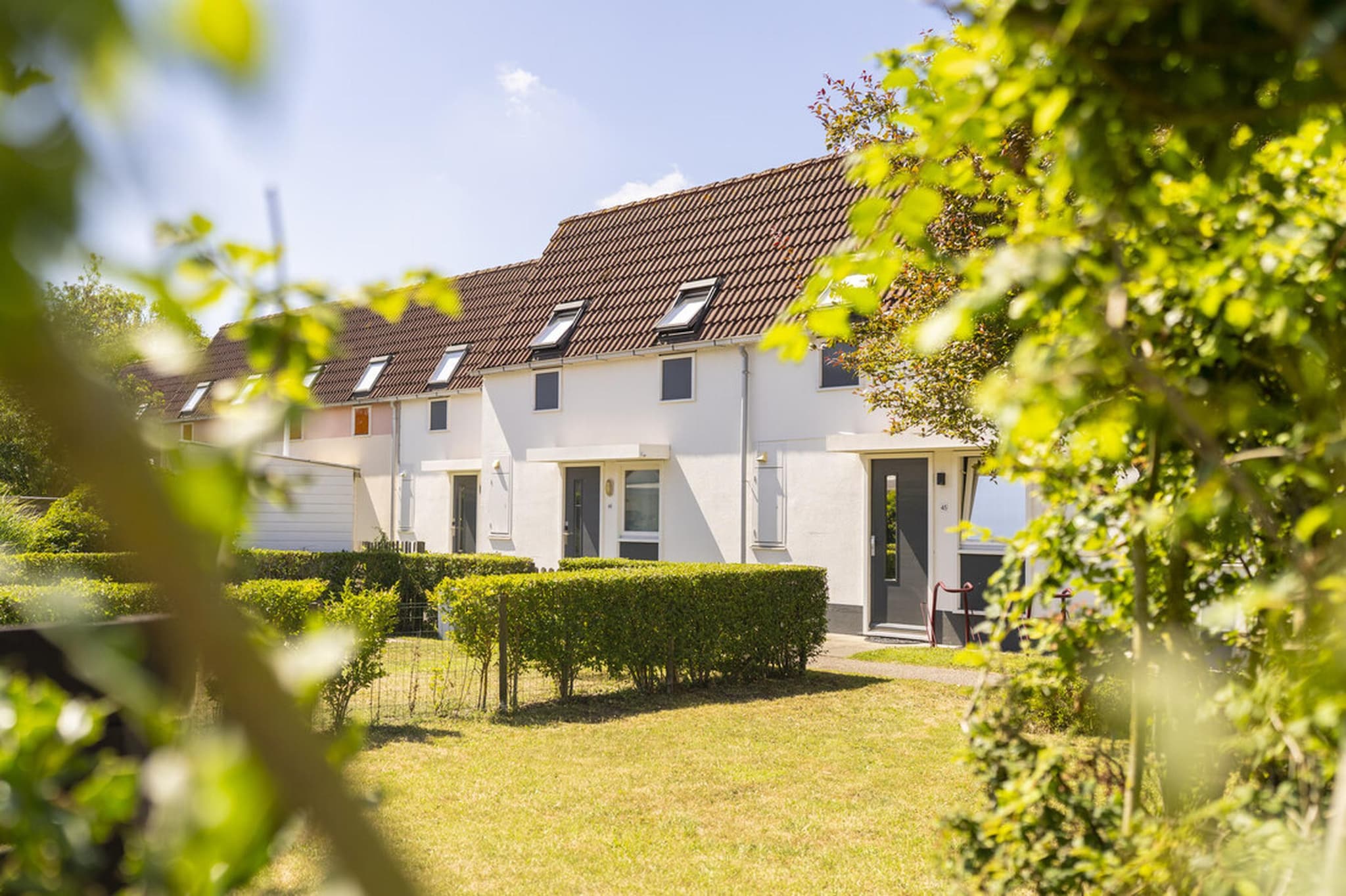 Vakantiepark Bos en Duin 1 - Areas within 1km in summer