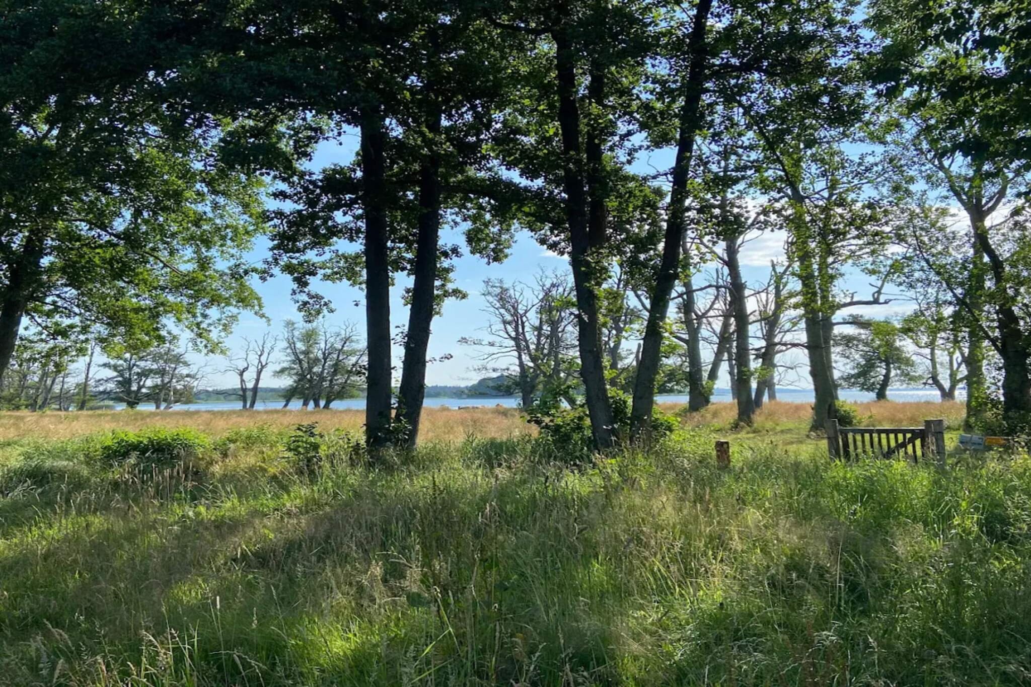 Maison de vacances pour 5 a Skanderborg-By Traum-Vue sur l'eau