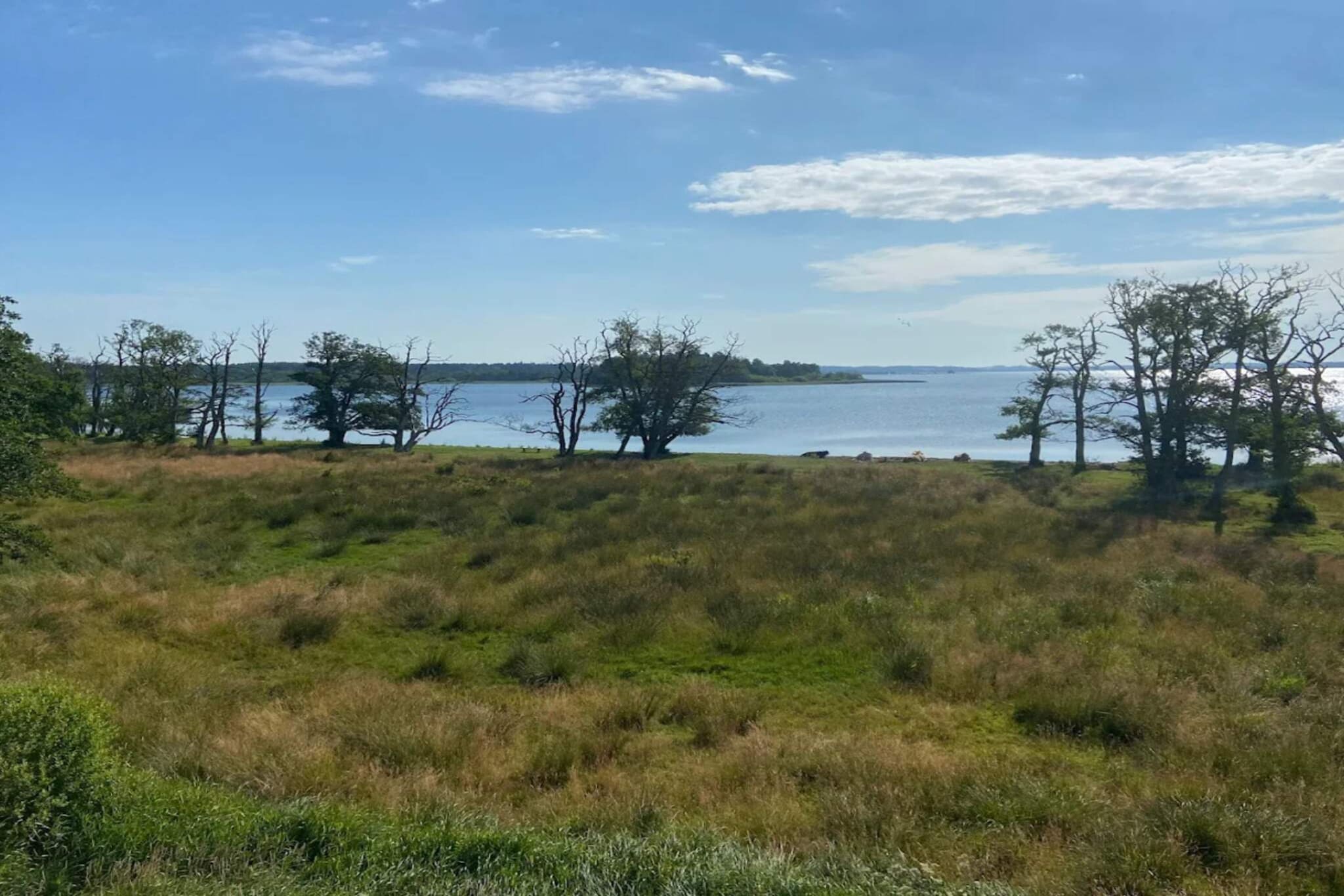 Maison de vacances pour 5 a Skanderborg-By Traum-Vue sur l'eau