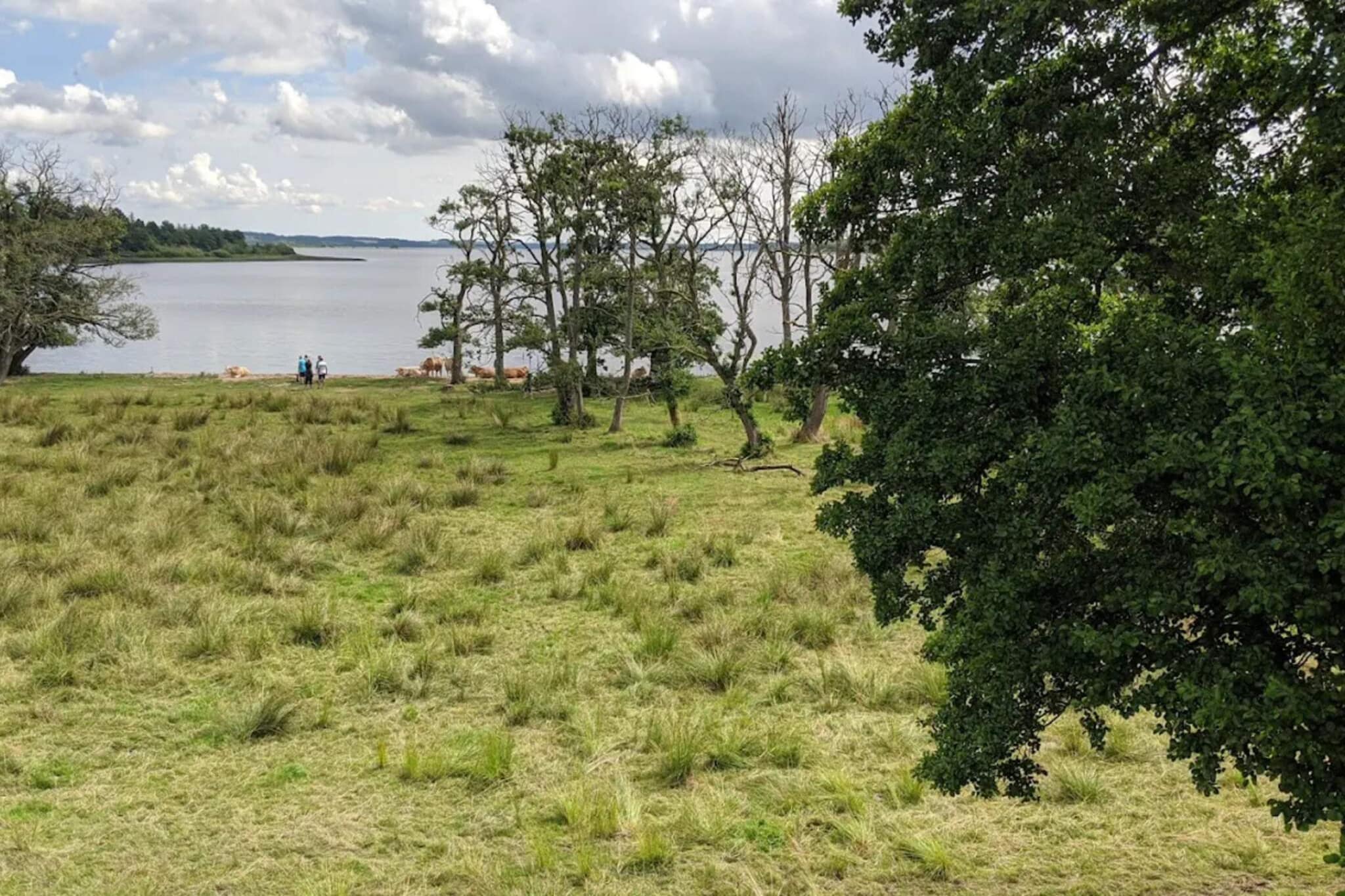 Maison de vacances pour 5 a Skanderborg-By Traum-Vue sur l'eau