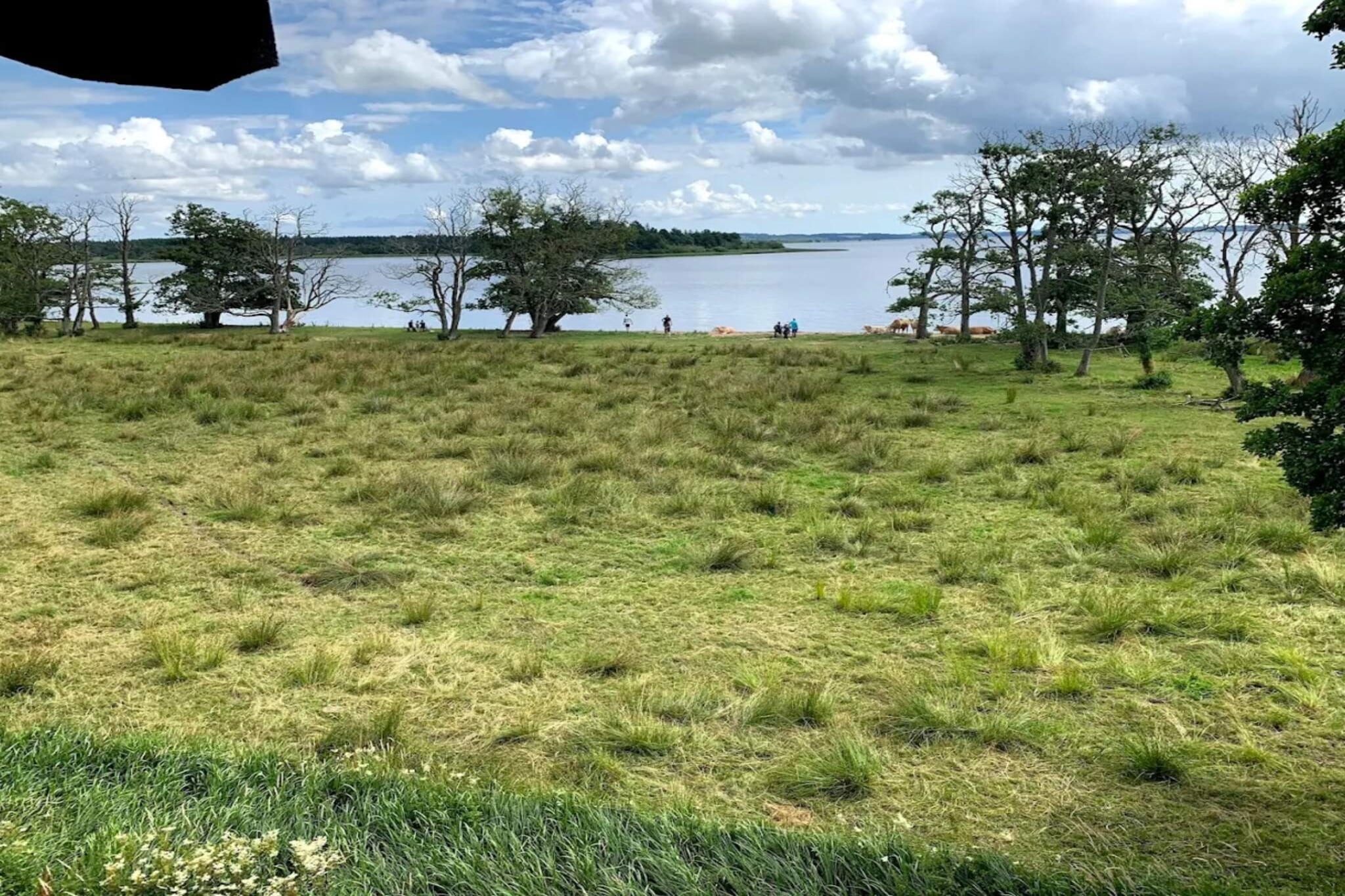 Maison de vacances pour 5 a Skanderborg-By Traum-Vue sur l'eau