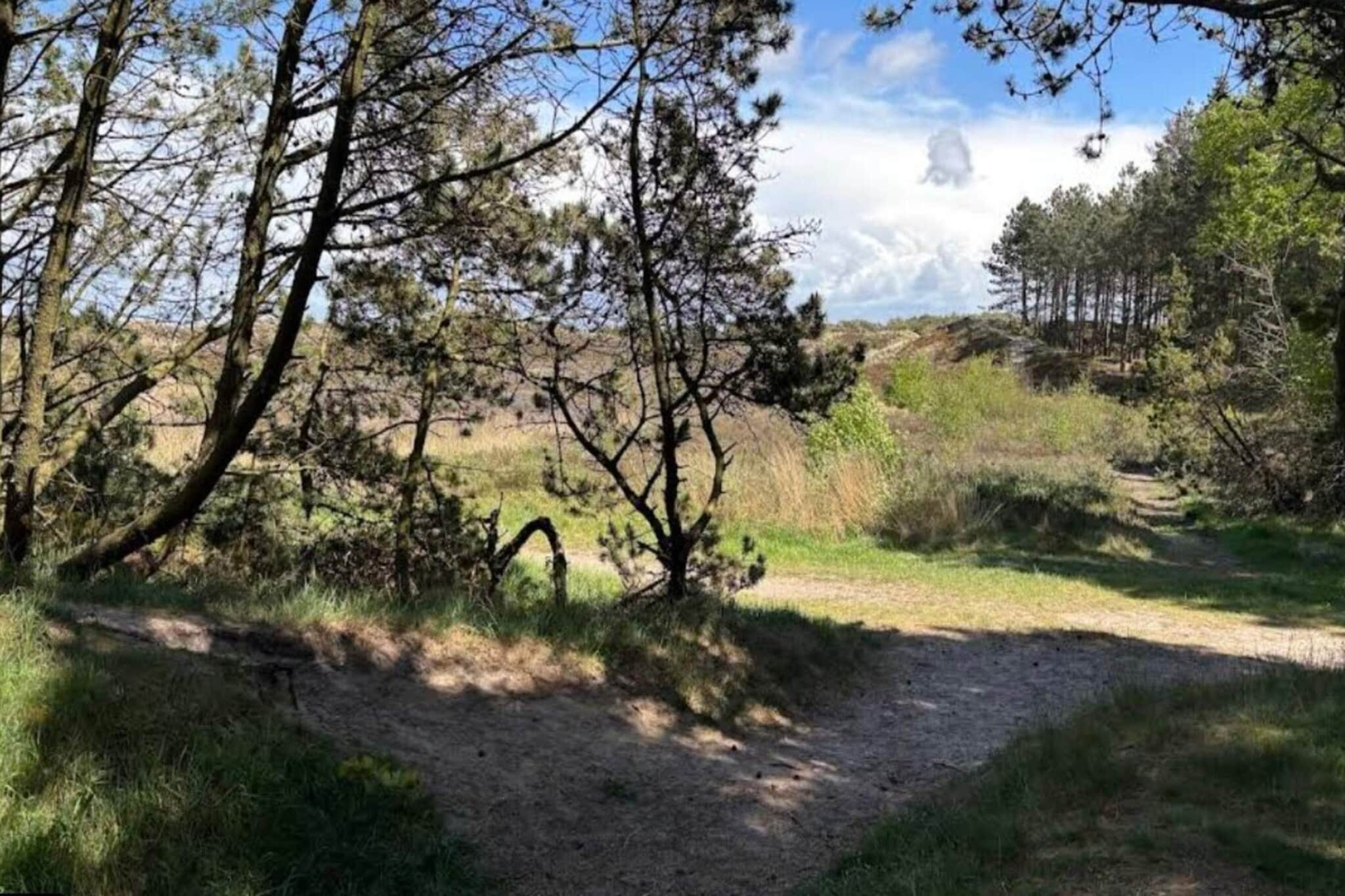6 persoons vakantie huis in Rømø-By Traum-Niet-getagd