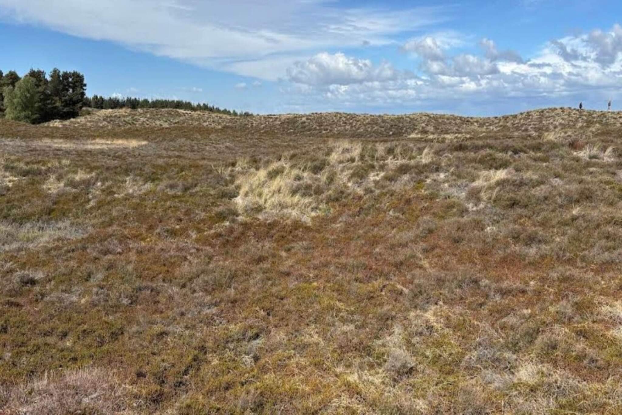 6 persoons vakantie huis in Rømø-By Traum-Niet-getagd