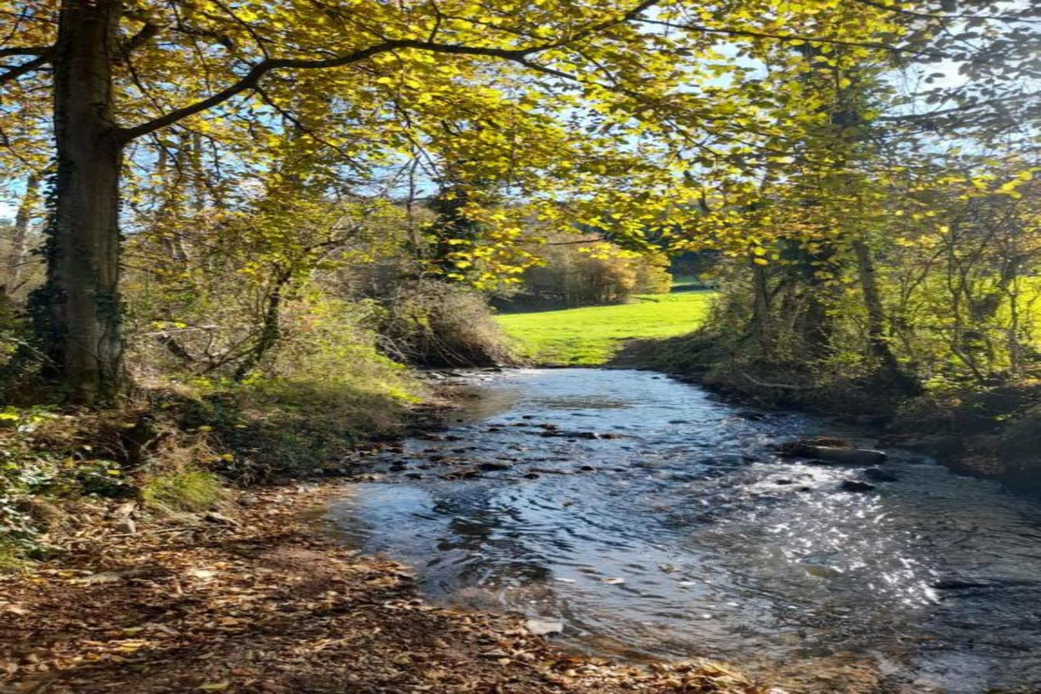 Villapark Les Forges 3-Gebieden zomer 20km