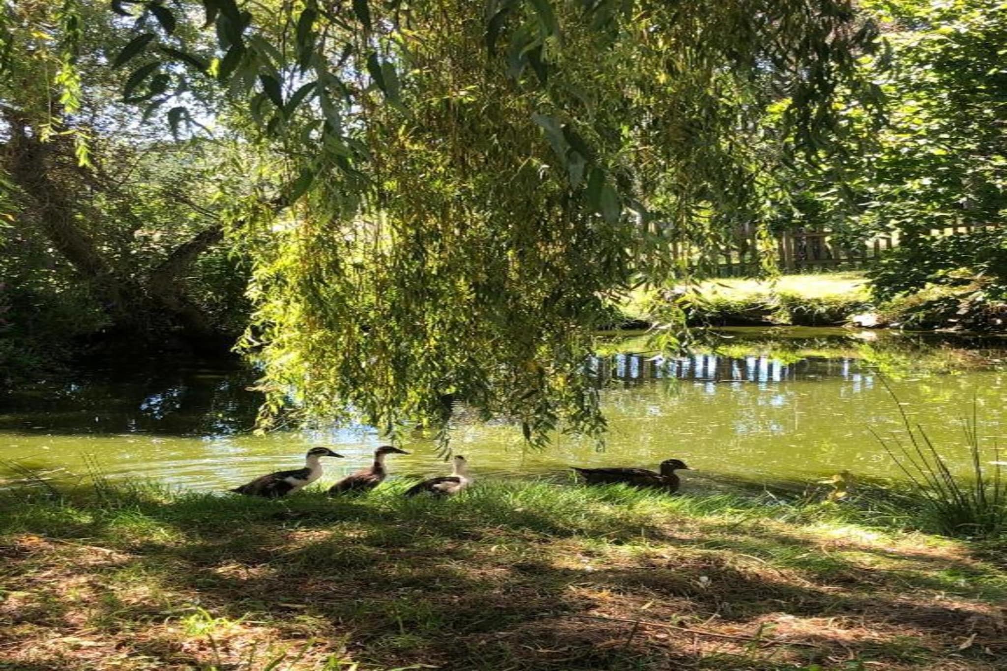 Villapark Les Forges 3-Gebieden zomer 20km
