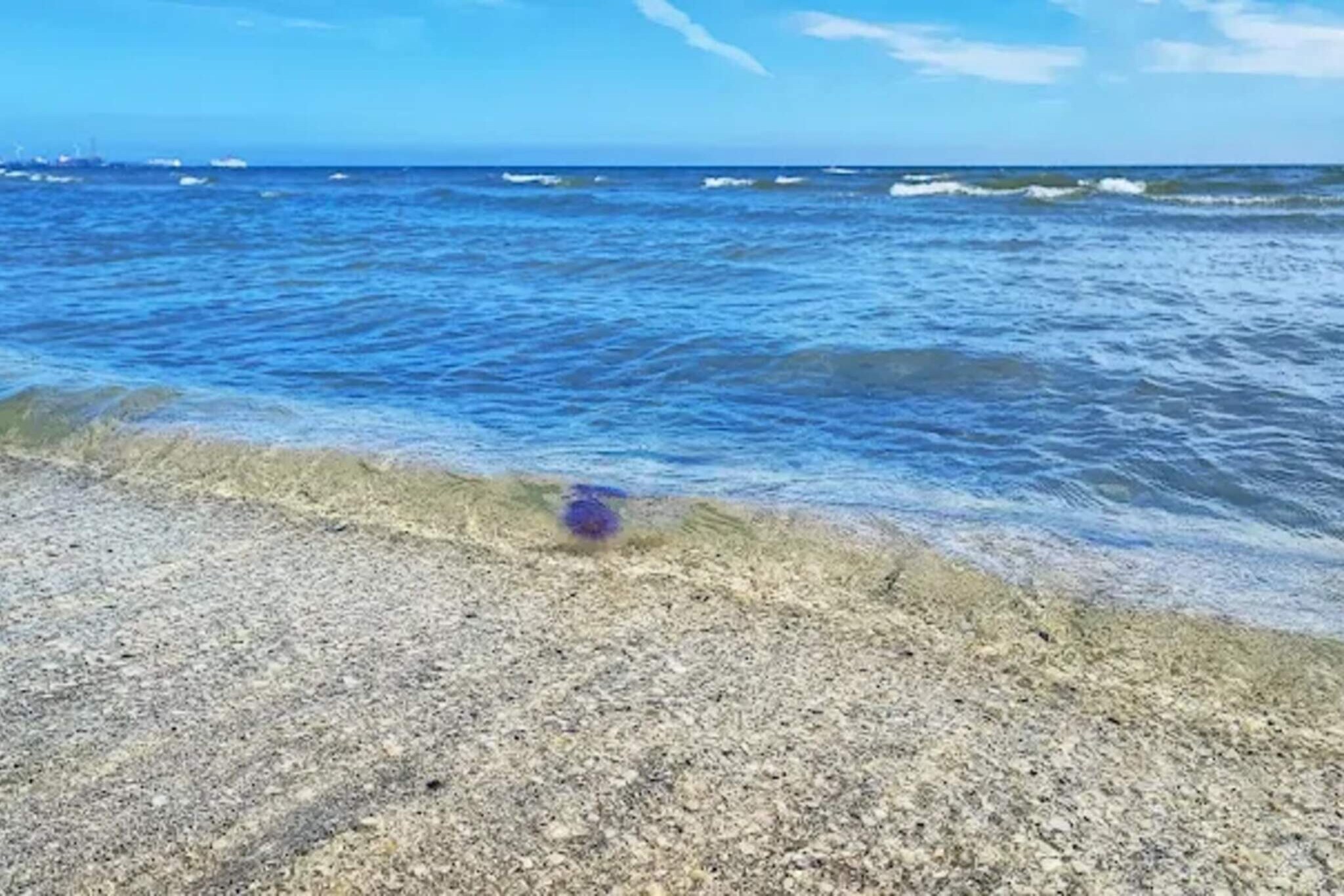 6 persoons vakantie huis in Frederikshavn-By Traum-Waterzicht