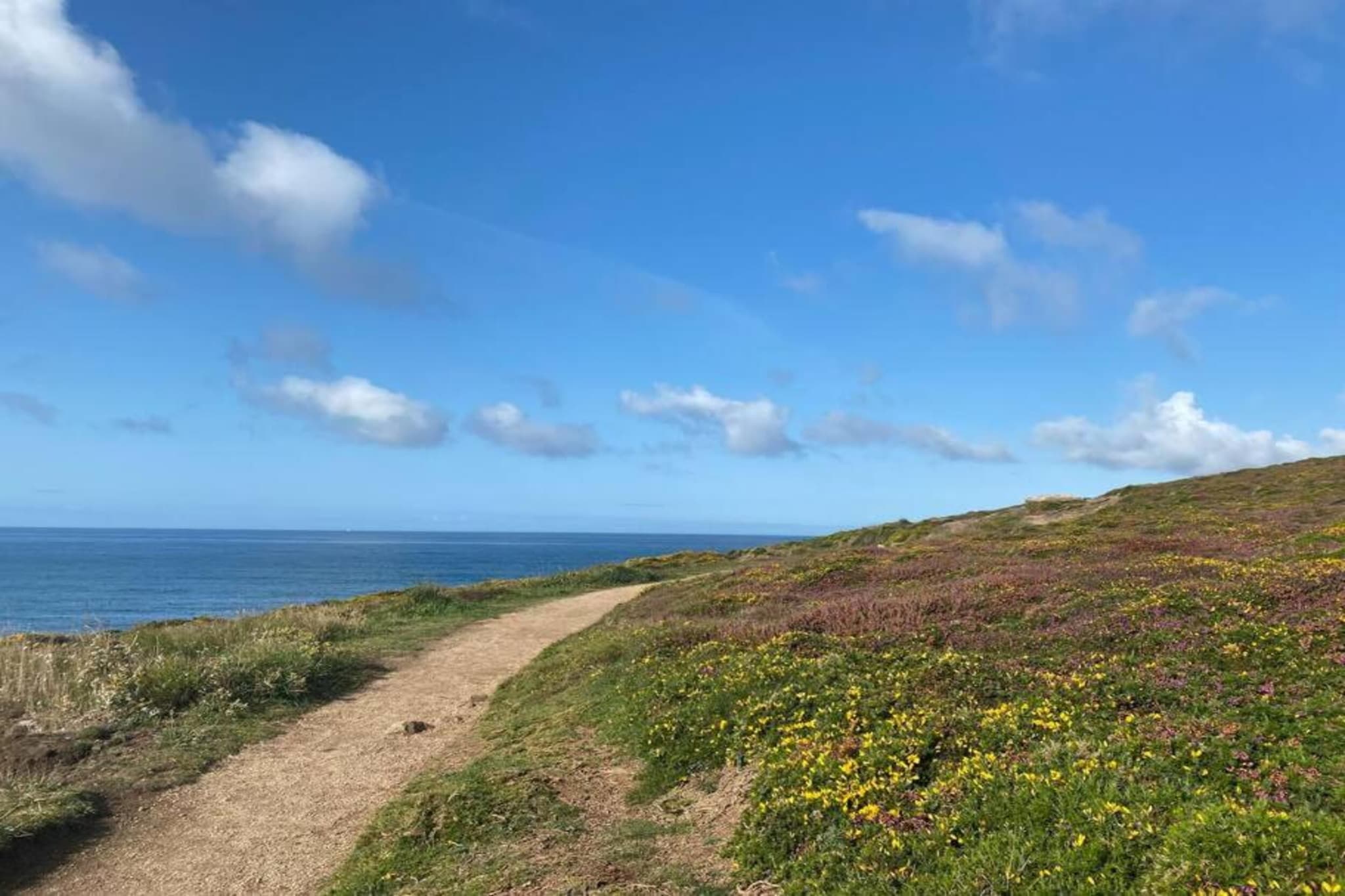 Ker Anna-Gebieden zomer 1km