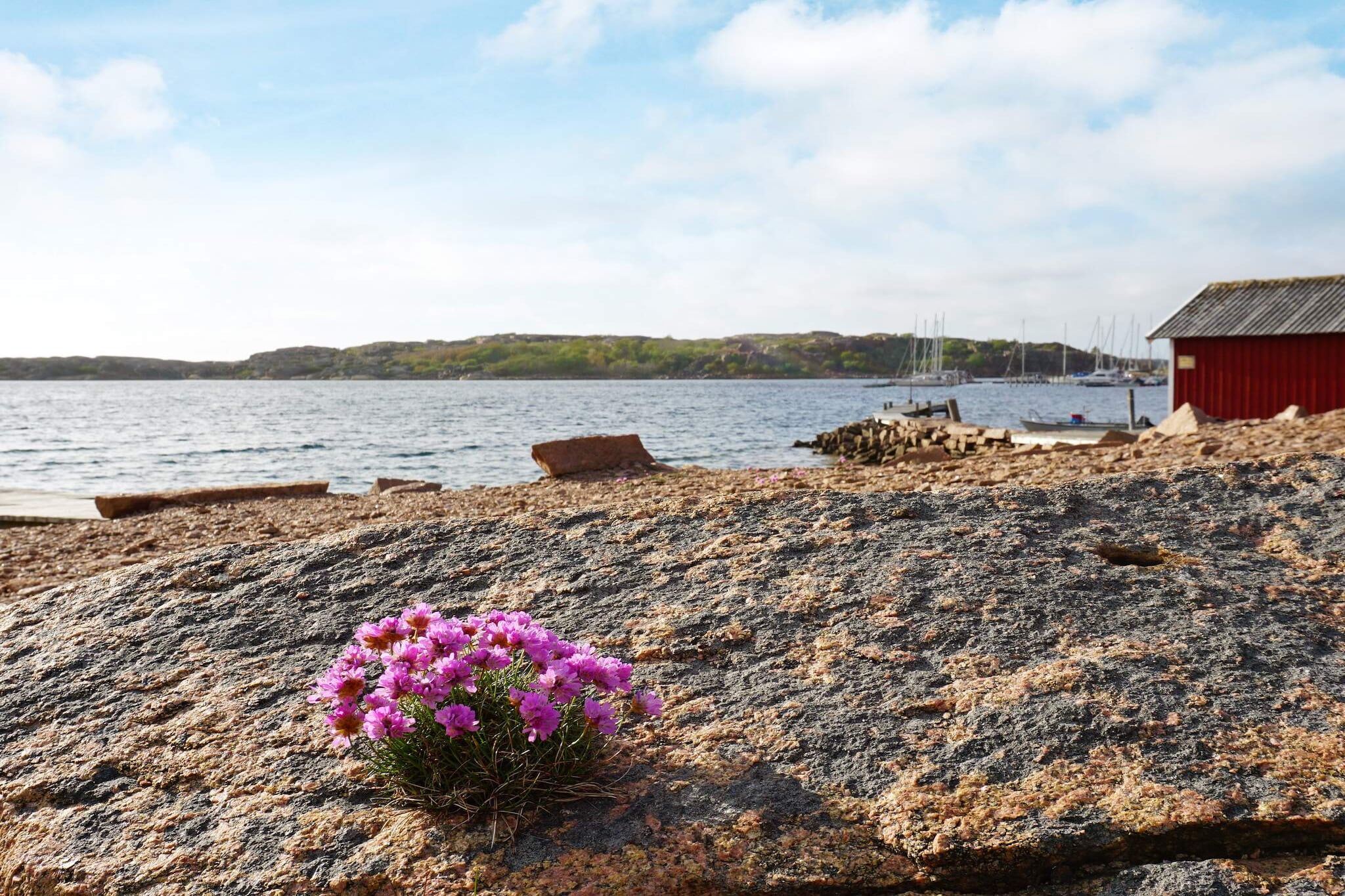 6 persoons vakantie huis in Bovallstrand-By Traum - Uitzicht