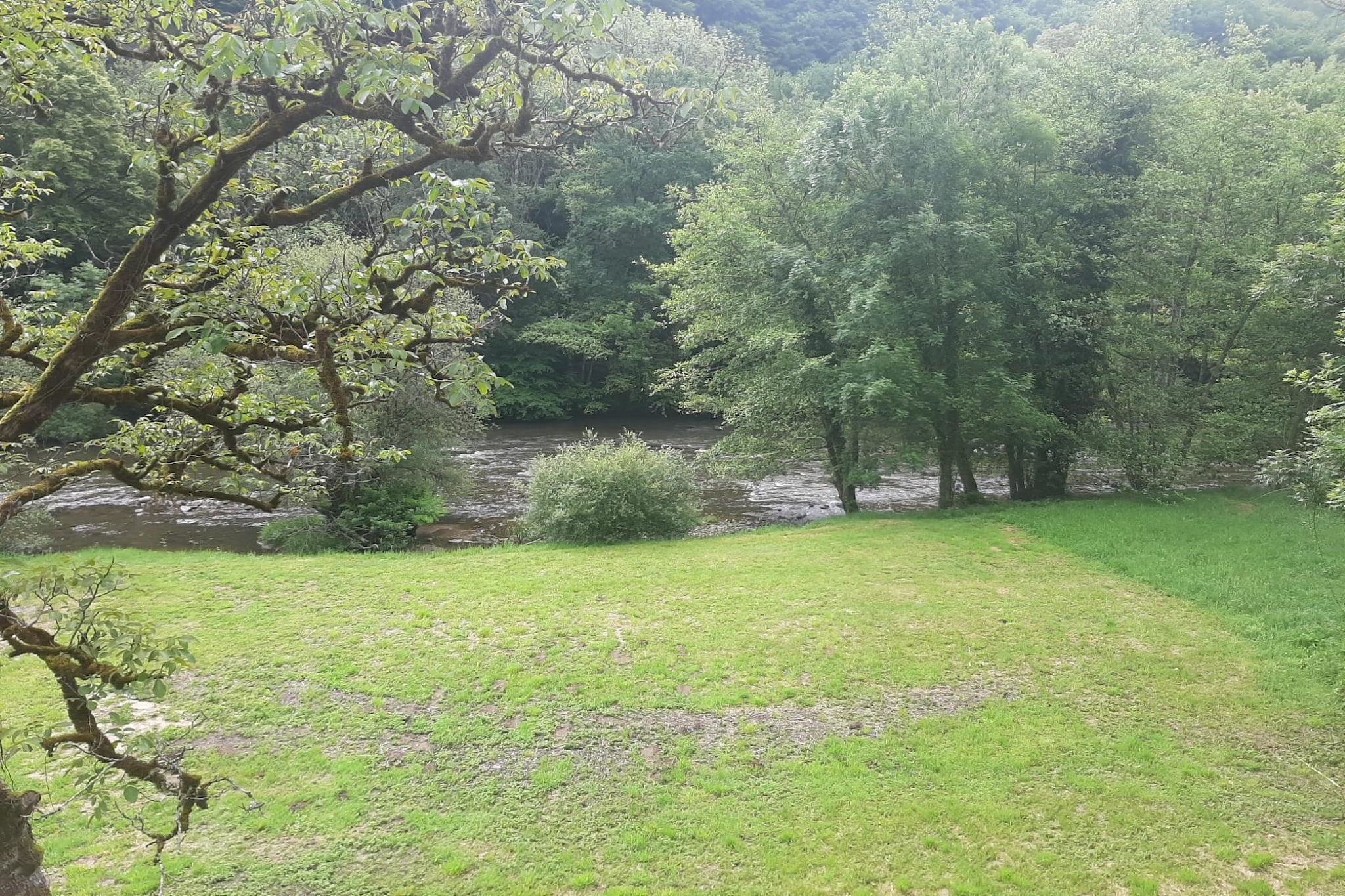 Les Rives de Vézère - Jardins en été