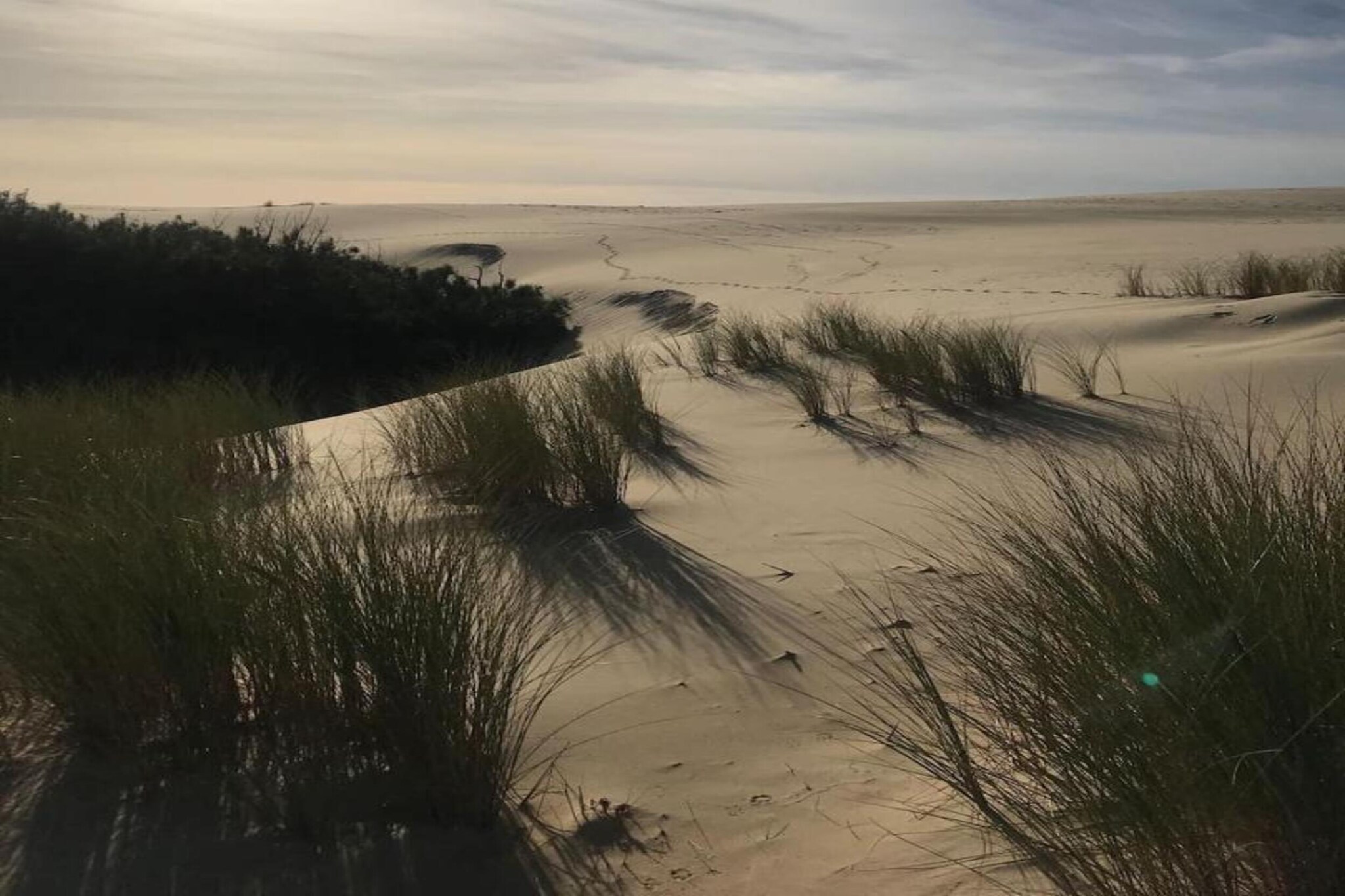 Vakantiehuis in Portbail-sur-Mer met terras-Gebieden zomer 20km