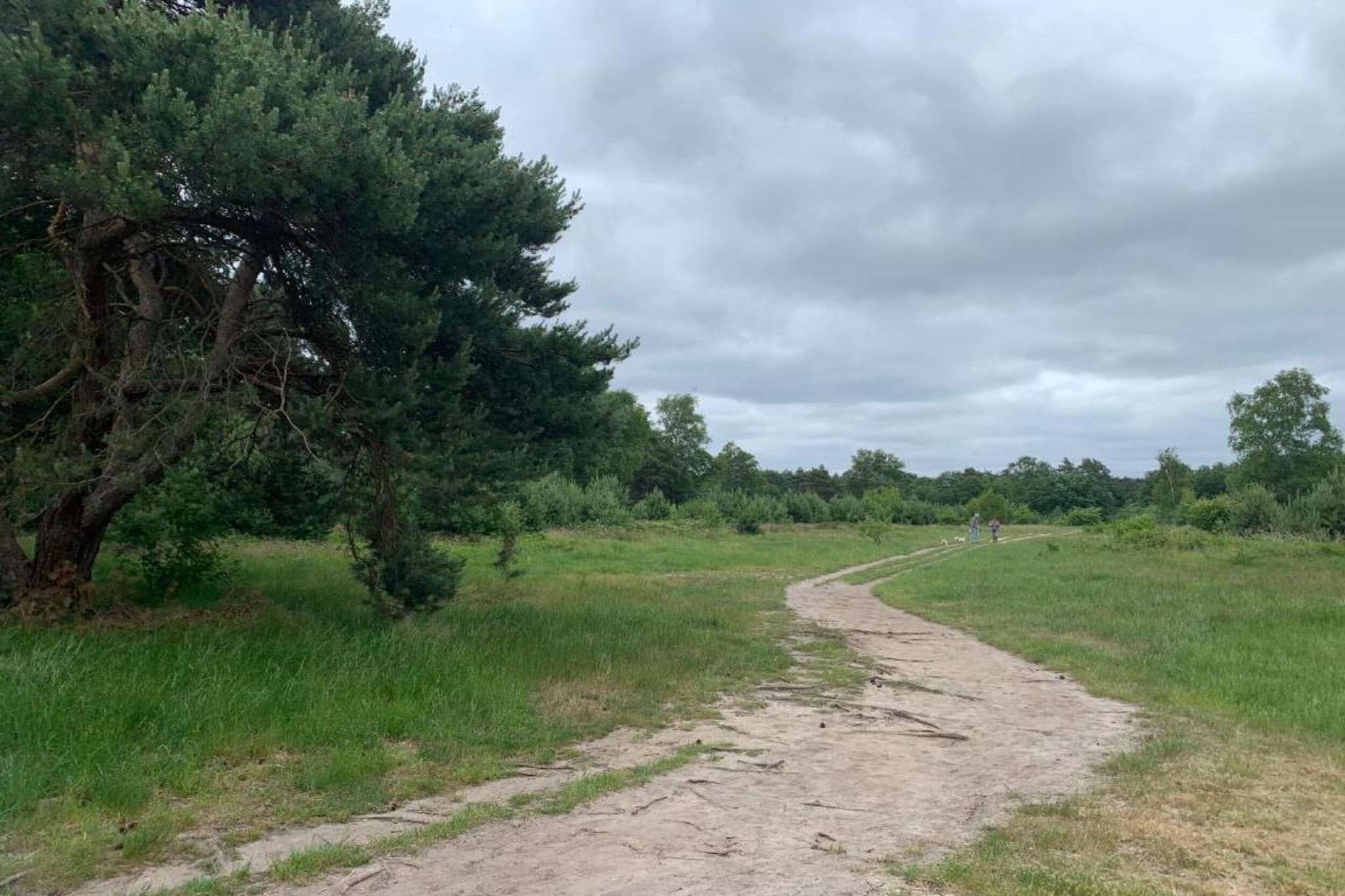 De Veluwse Hoevegaerde 3-Gebieden zomer 5km