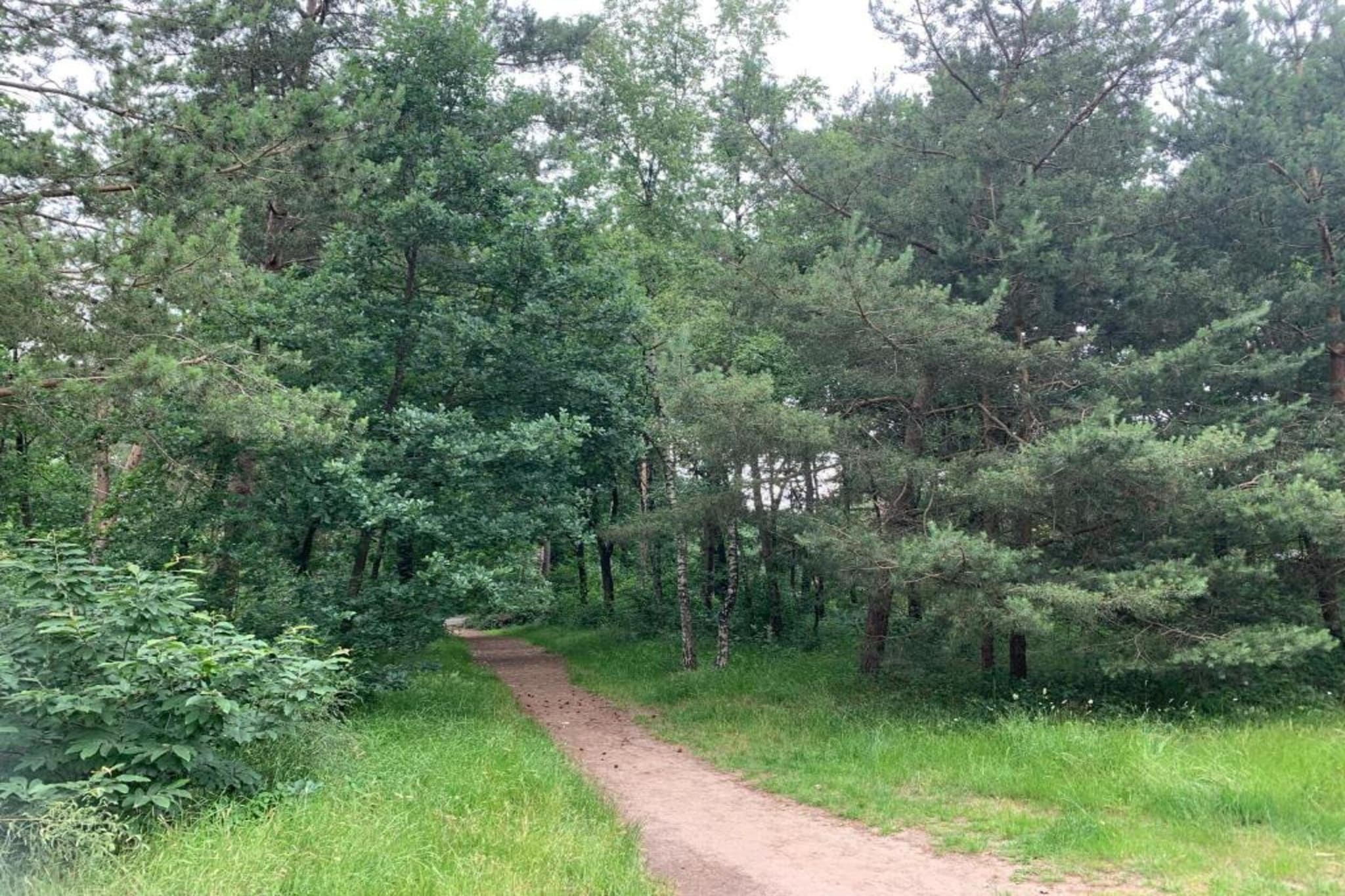 De Veluwse Hoevegaerde 3-Gebieden zomer 5km