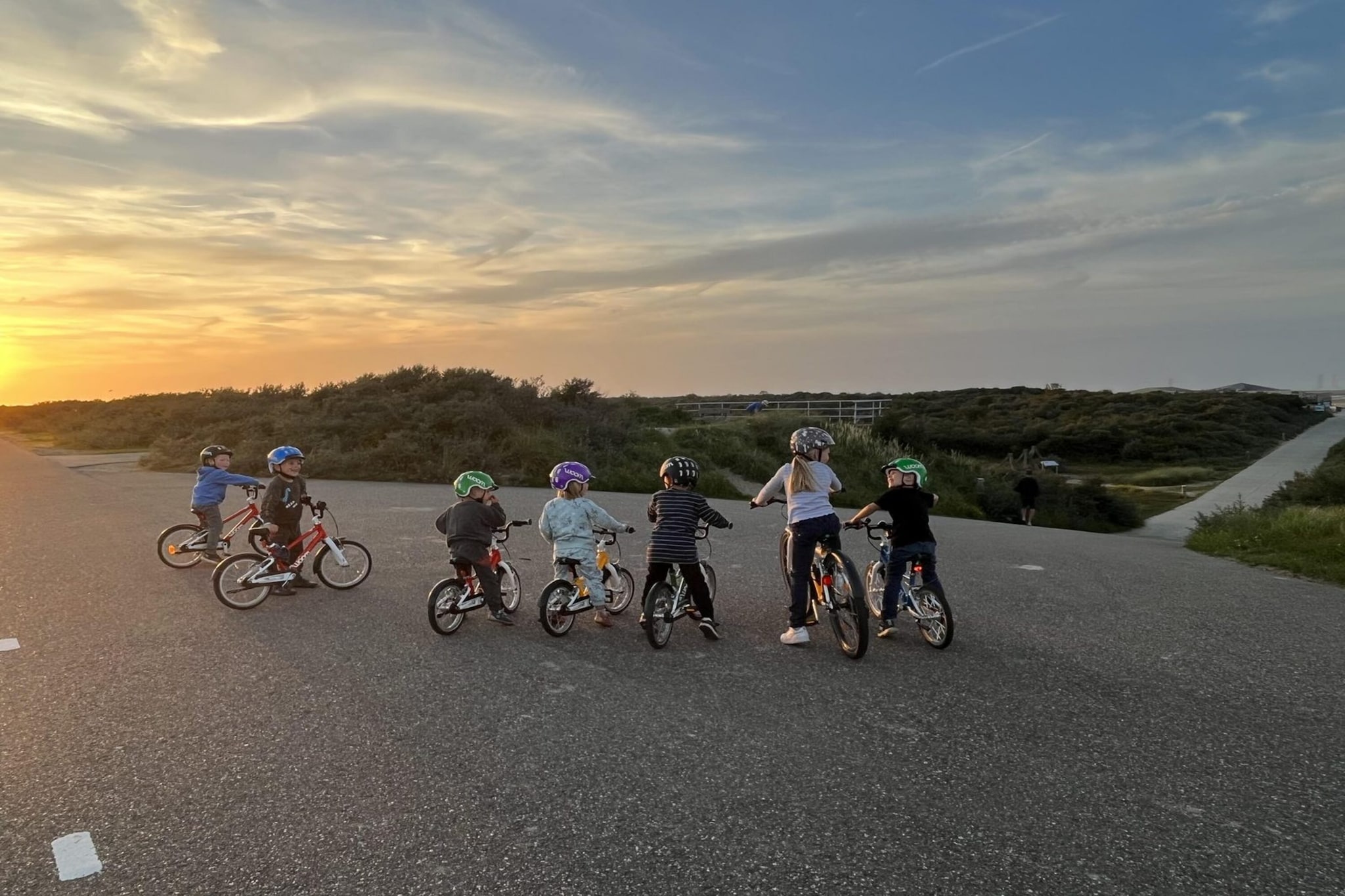 De Veluwse Hoevegaerde 4-Gebieden zomer 1km