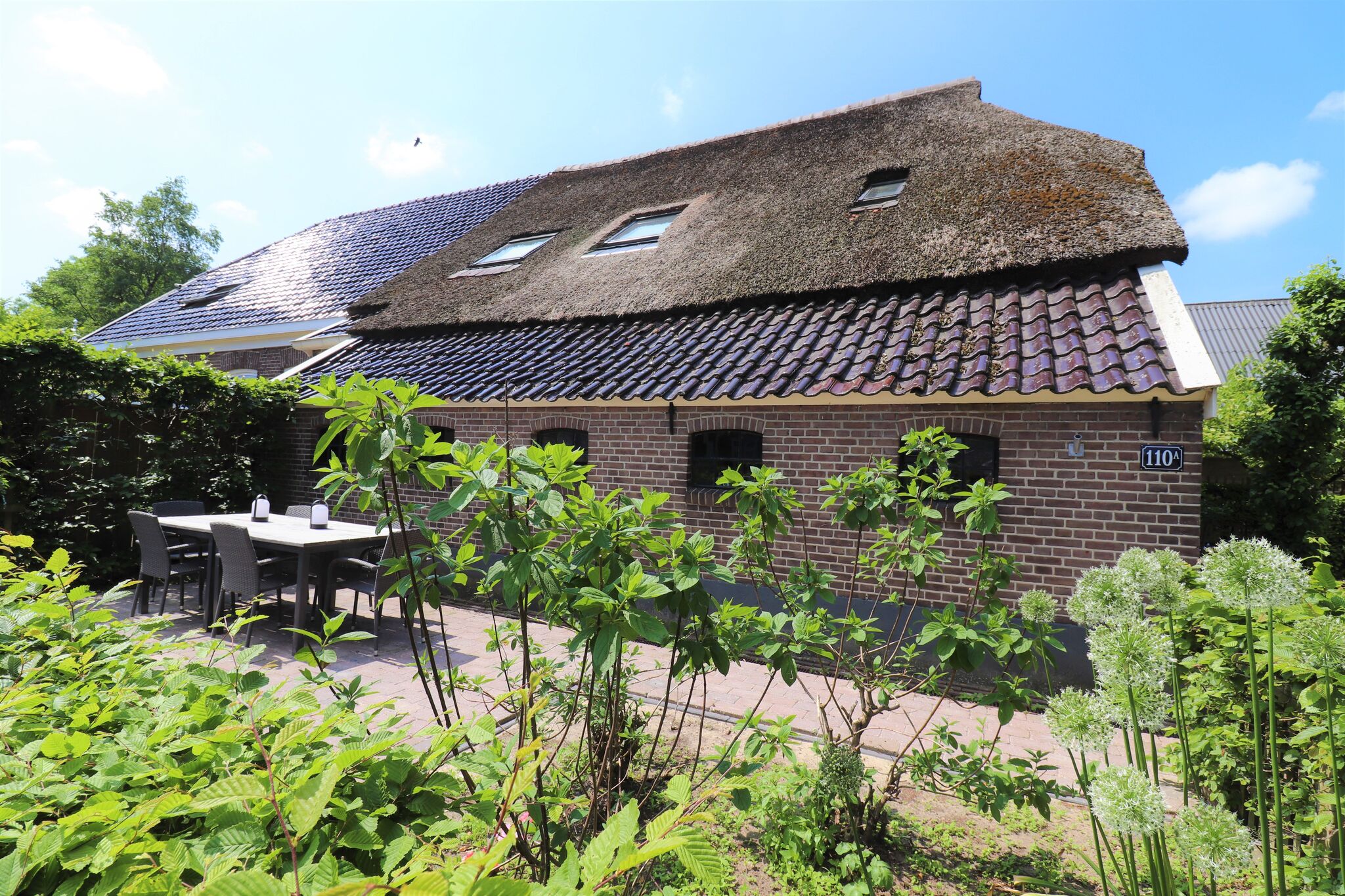 Large farmhouse in Dalerveen with a nice terrace