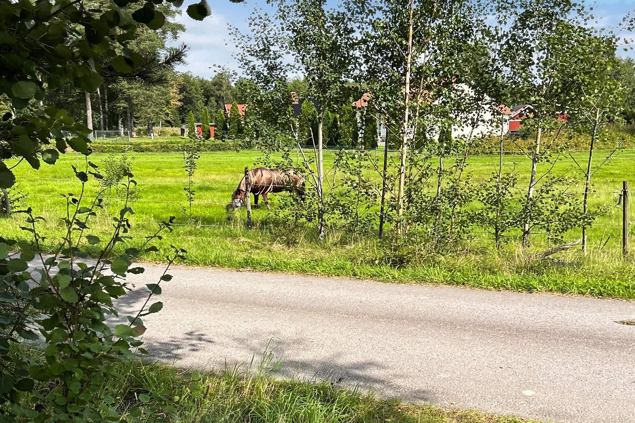 8 persoons vakantiehuis in HOVA - Niet-getagd