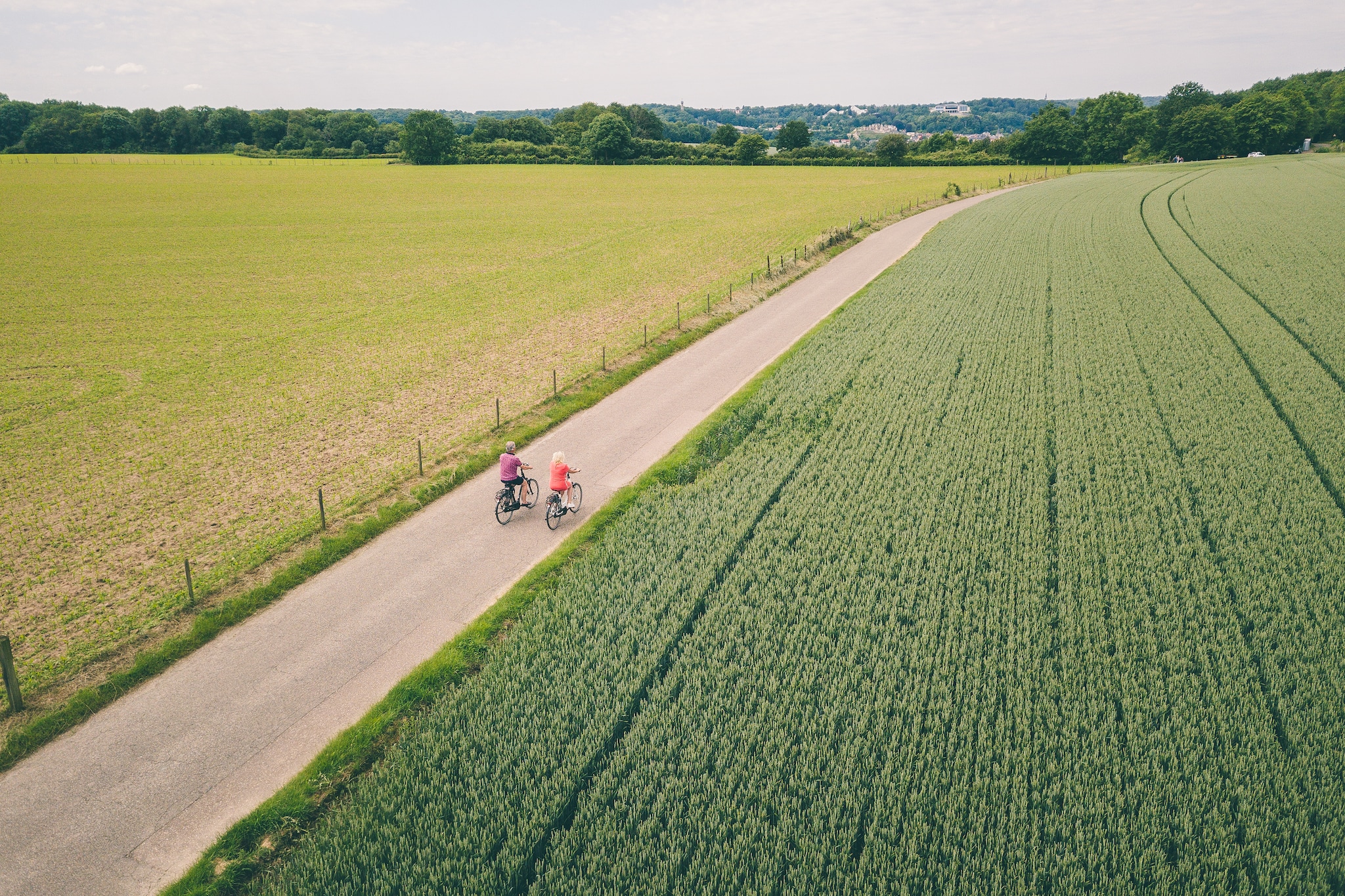 Bungalowpark Schin op Geul 15-Gebieden zomer 20km