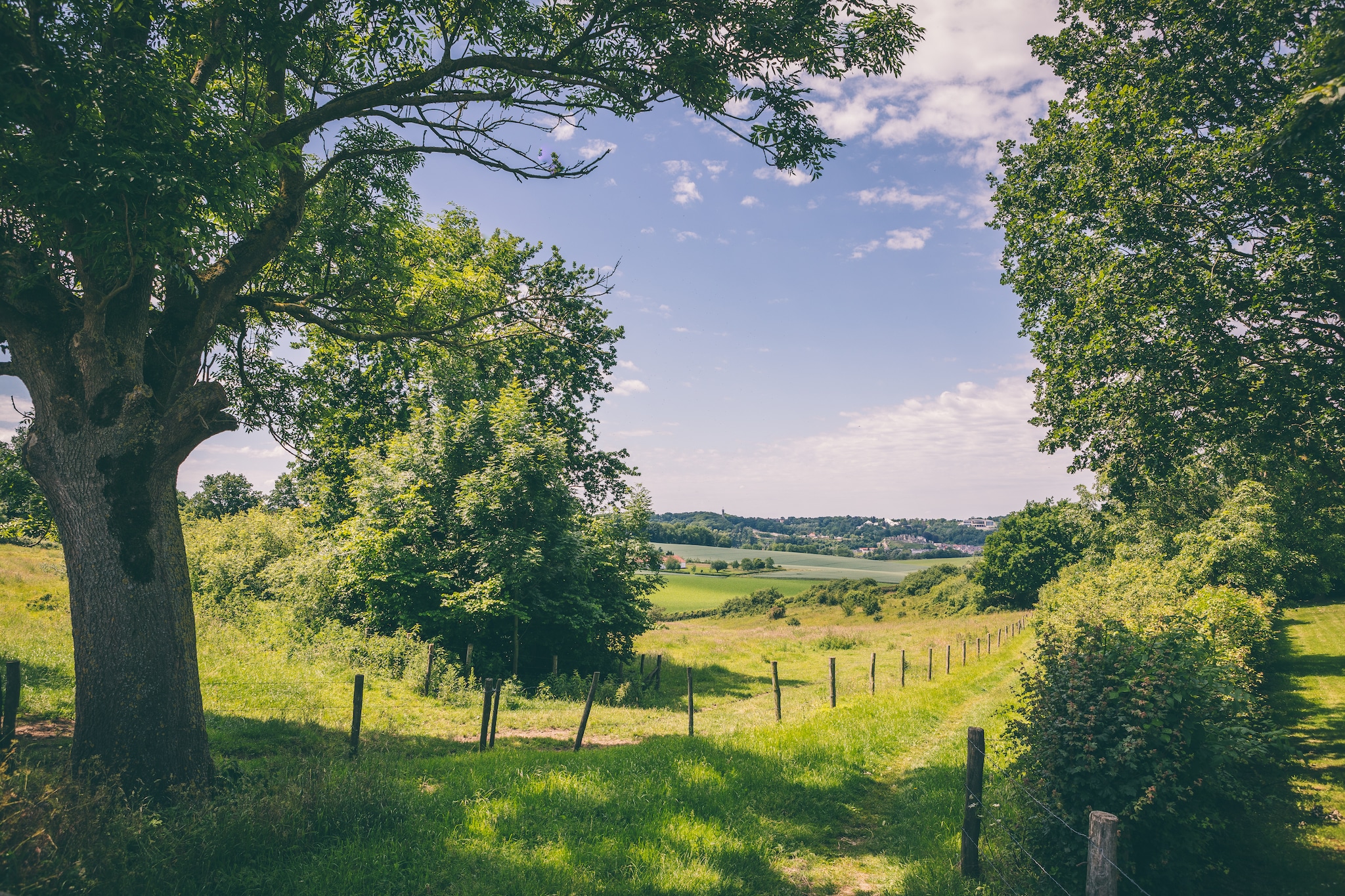 Bungalowpark Schin op Geul 15-Gebieden zomer 5km