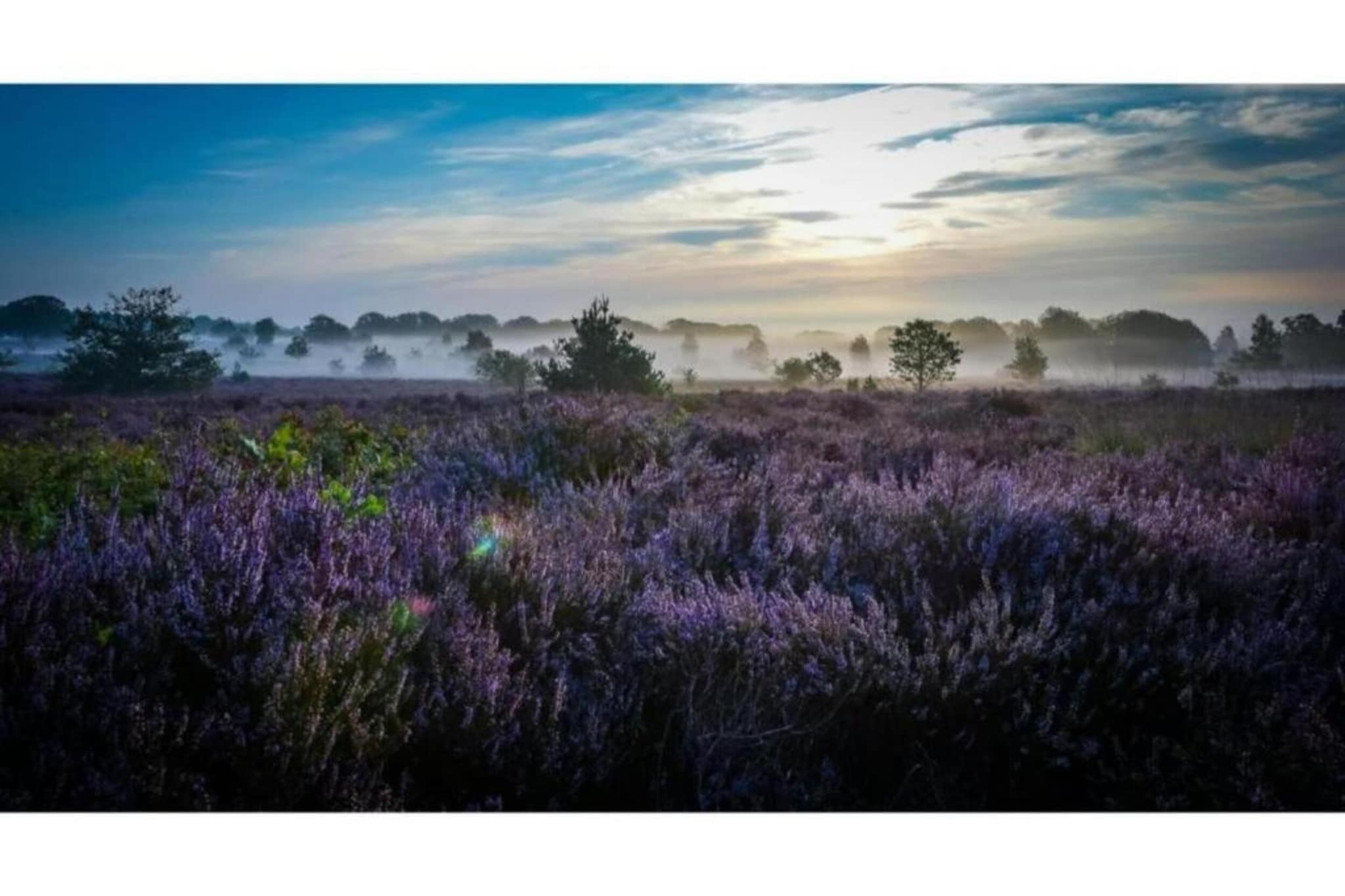 Buitenplaats Holten 16-Zones d'été à 20 km