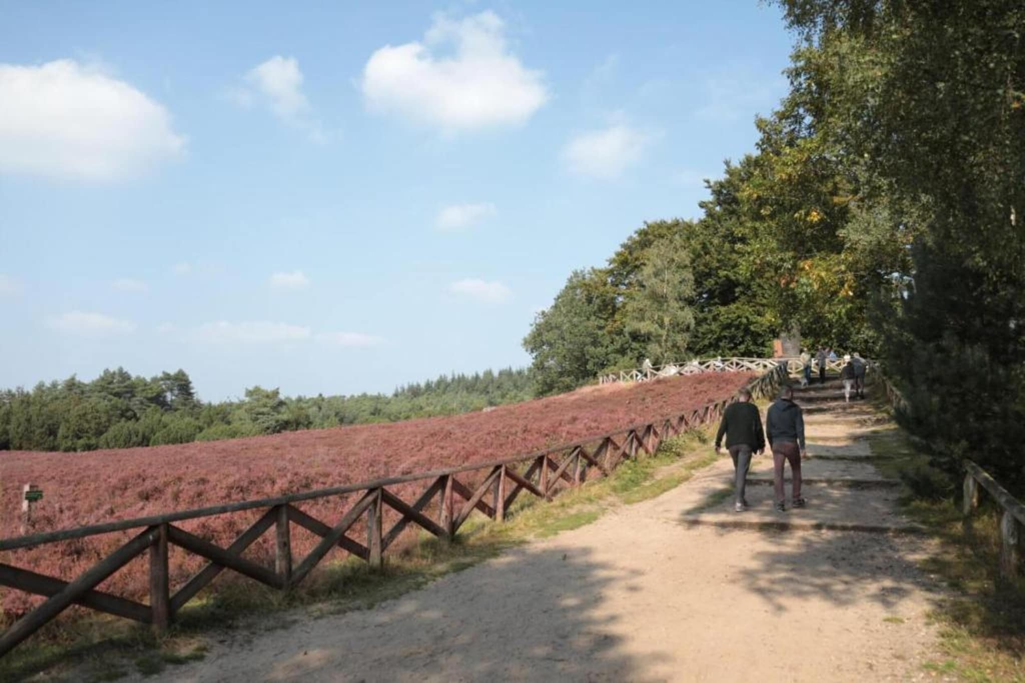 Buitenplaats Holten 17-Areas summer 20km