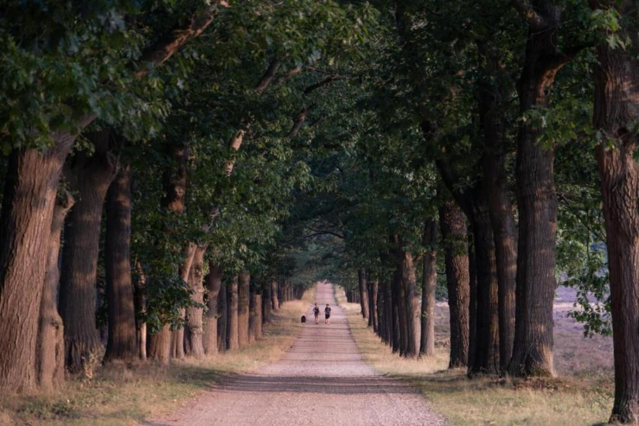 Buitenplaats Holten 17-Areas summer 20km