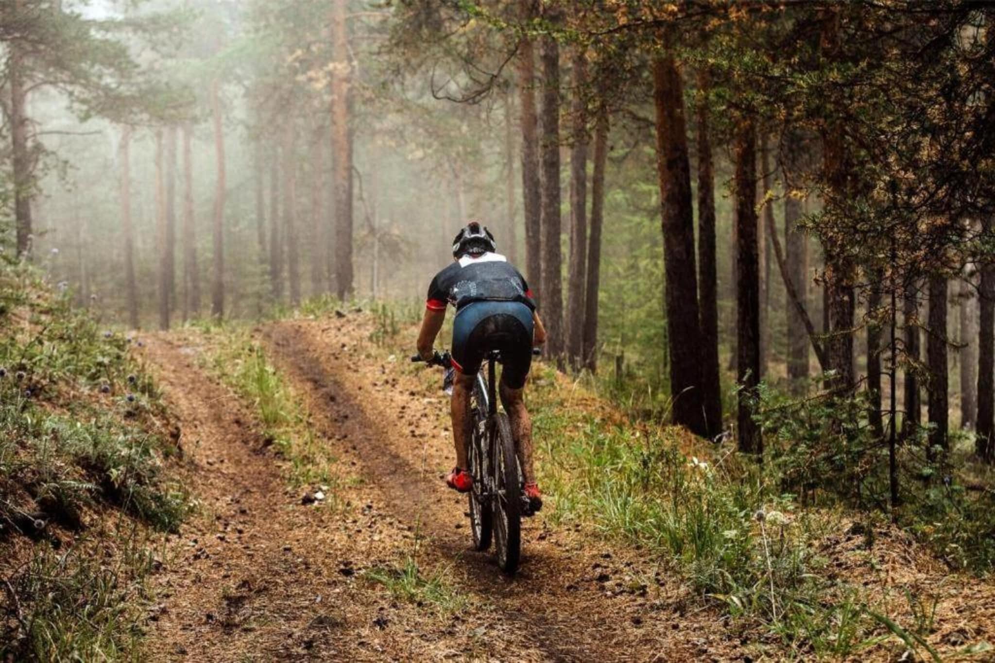 Buitenplaats Holten 17-Areas summer 20km