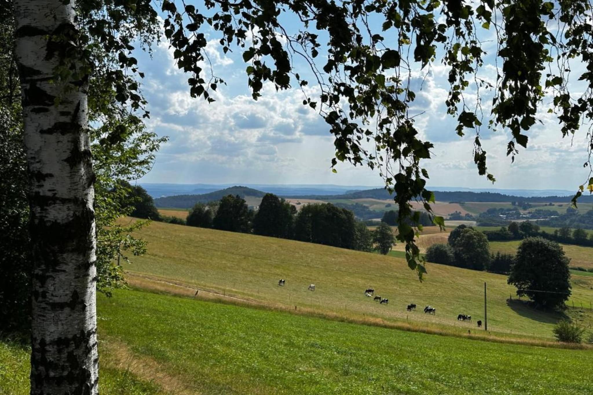 Ferienwohnung in Kamenz - Sachsen-Gebieden zomer 20km