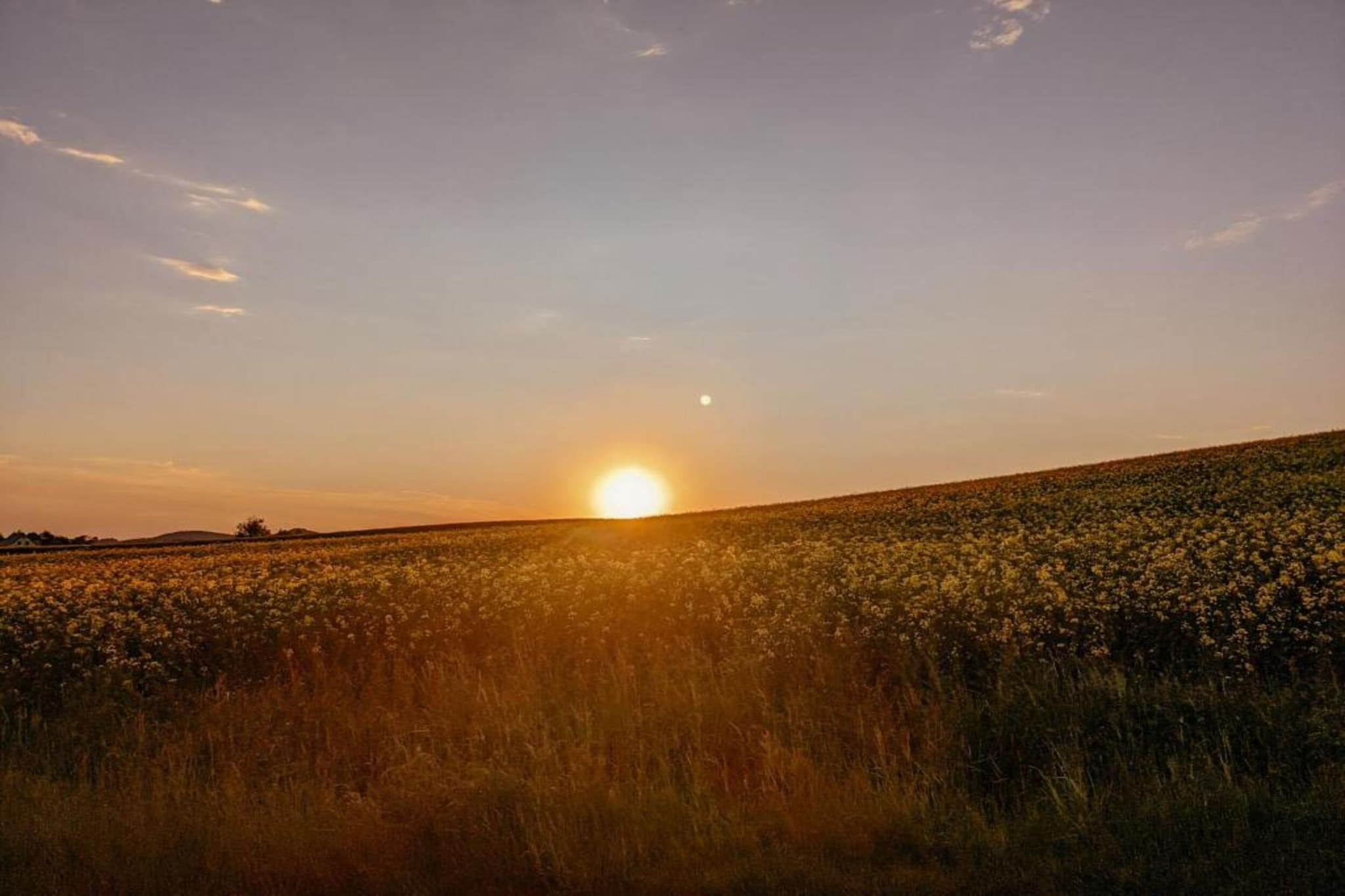Ferienwohnung in Kamenz - Sachsen-Gebieden zomer 20km