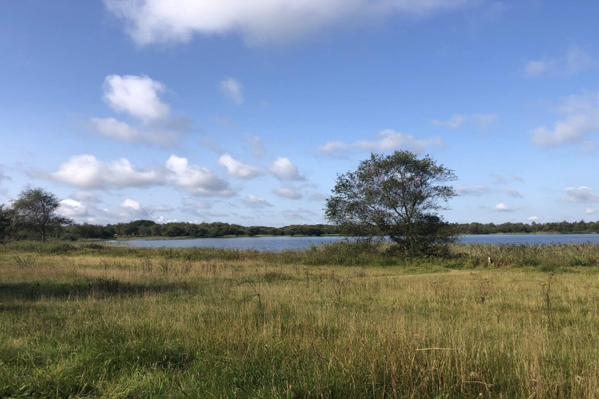 8 persoons vakantie huis in Ansager-By Traum - Waterzicht