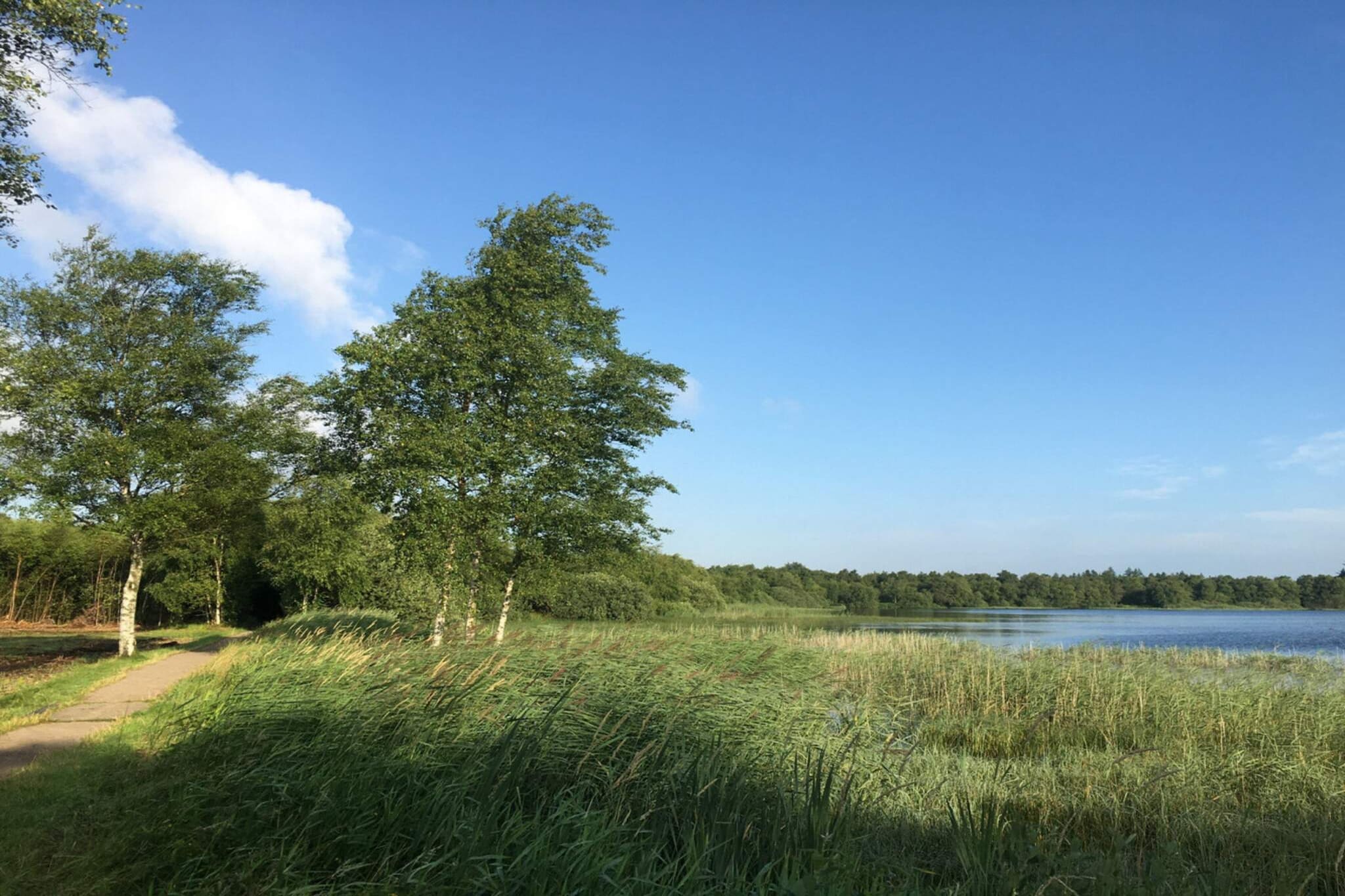 8 persoons vakantie huis in Ansager-By Traum - Waterzicht